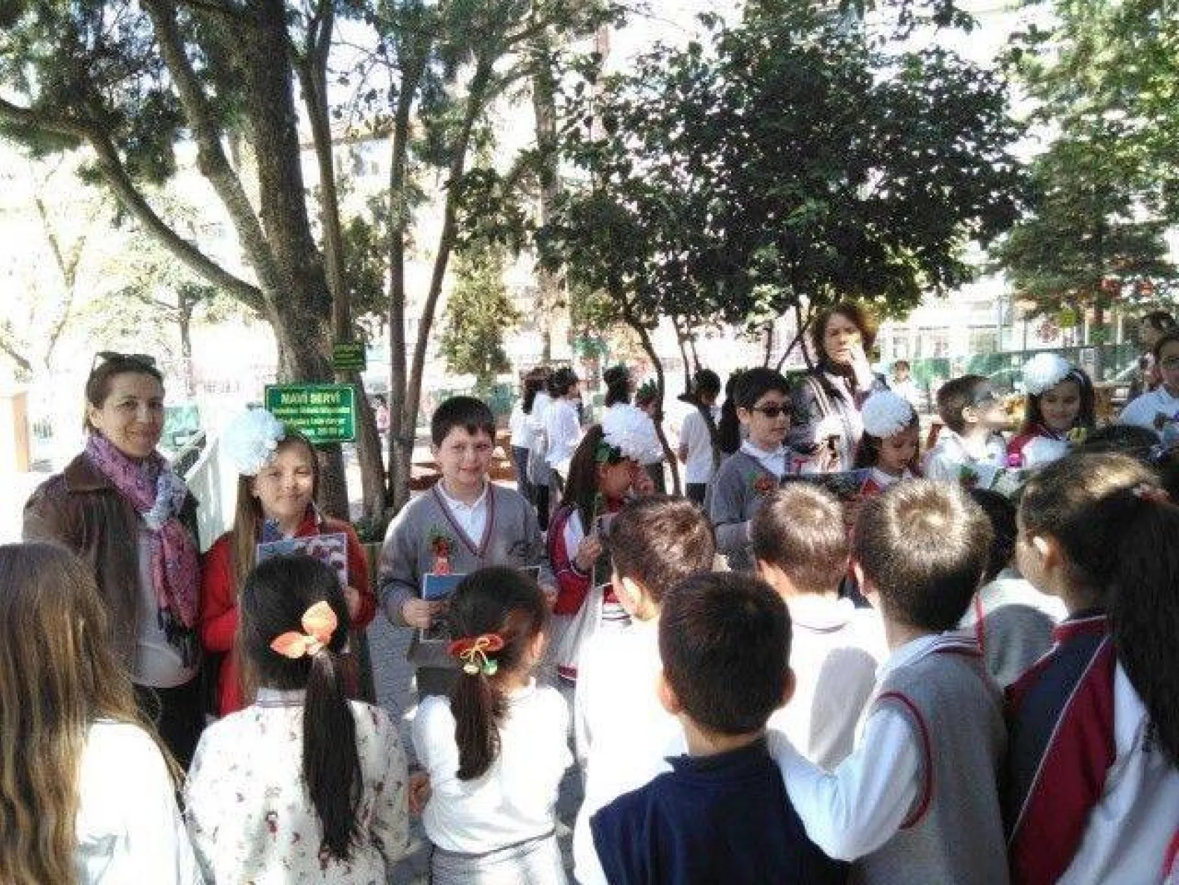 Ağaçları tanıma tanıtma etkinliği