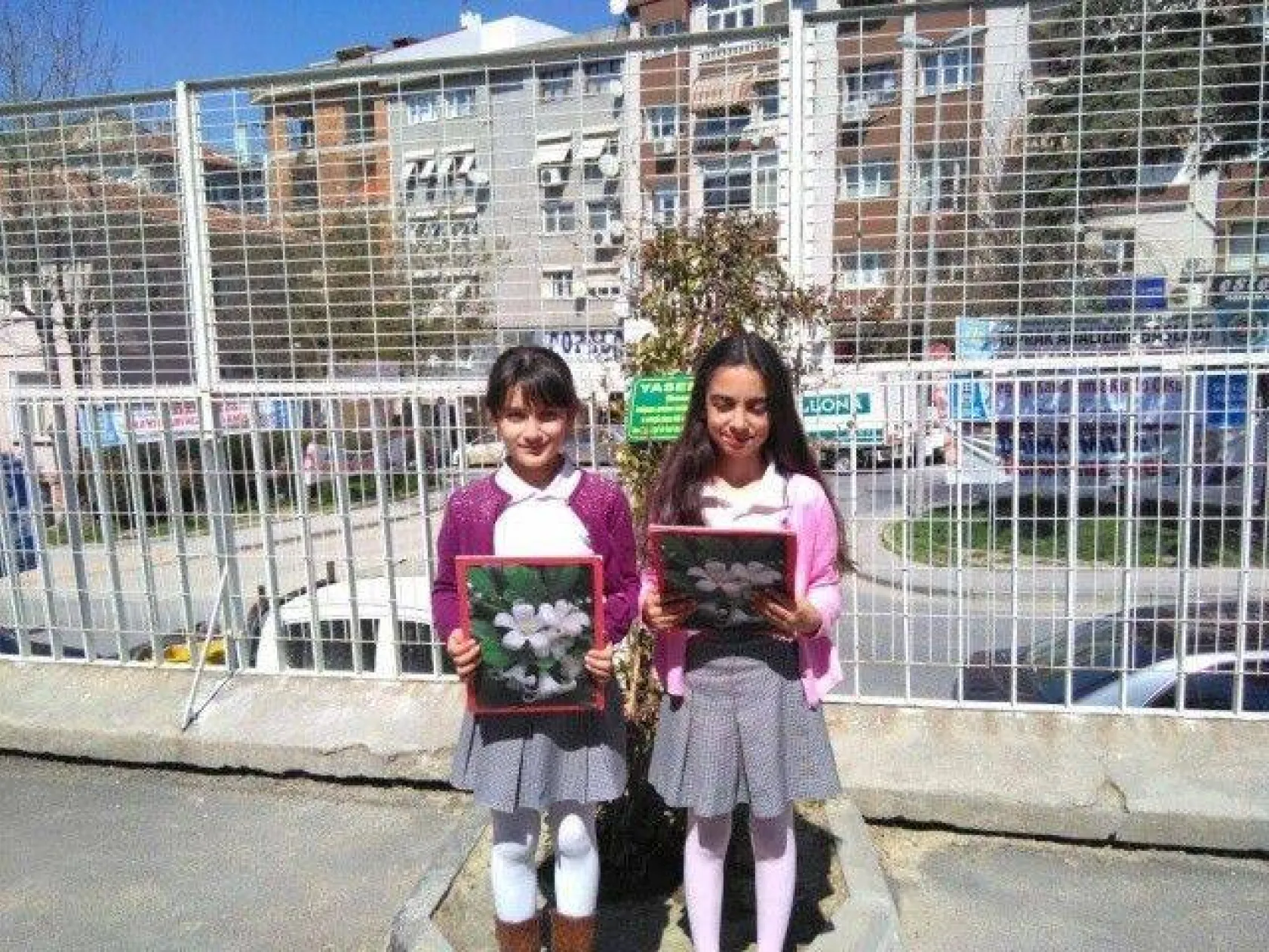 Ağaçları tanıma tanıtma etkinliği