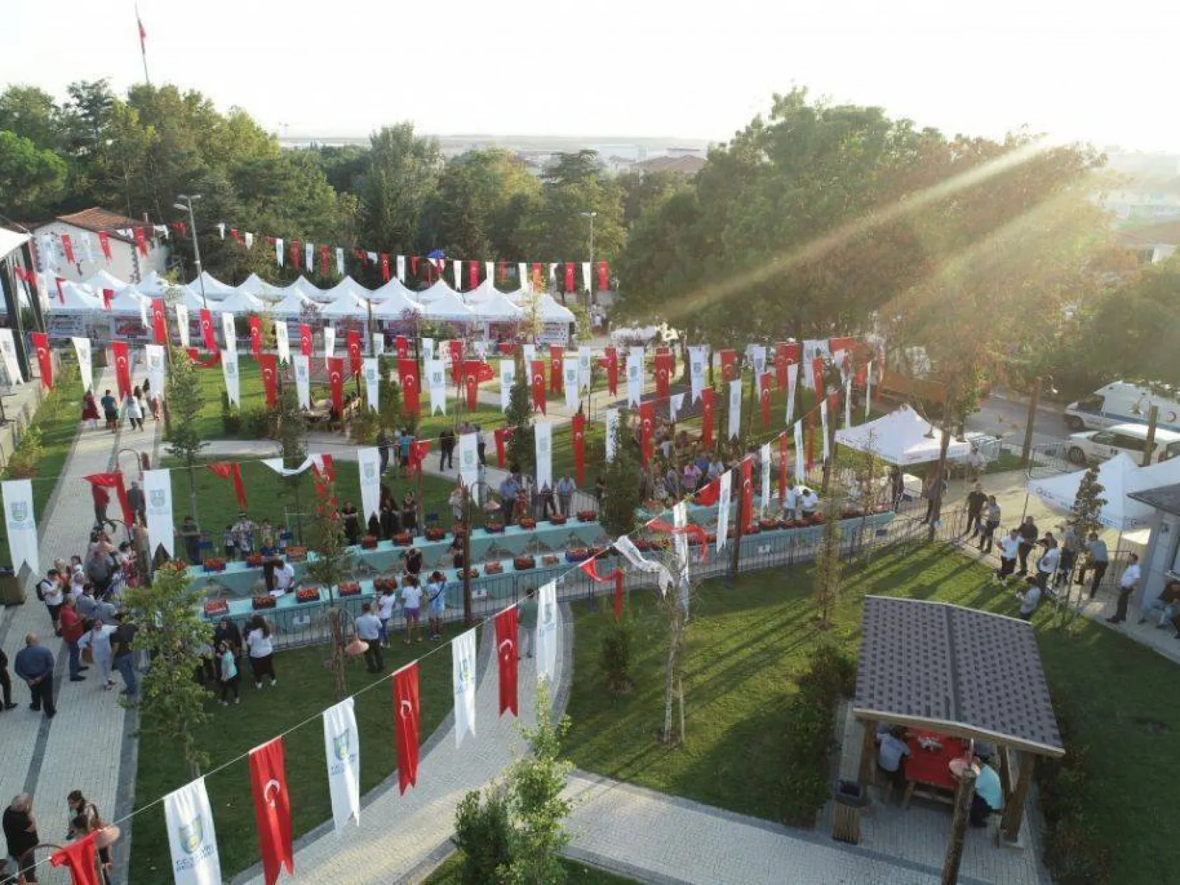 En güzel domatesler yarıştı