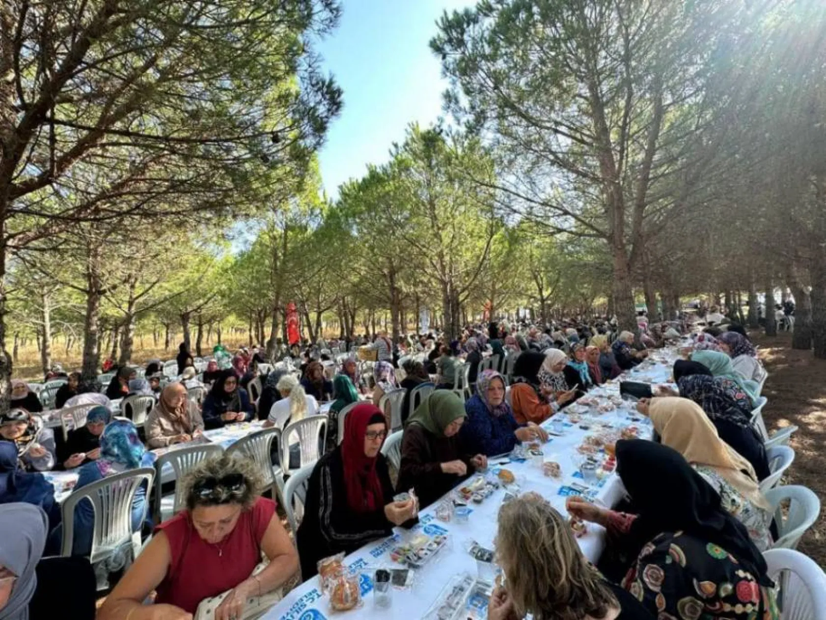 Silivri belediyesinden kadın üreticilere 300.000 fide