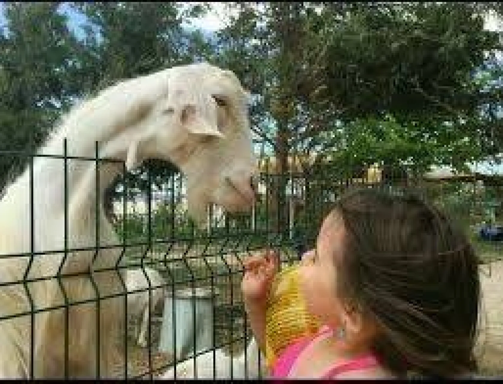 'Mavi Çatı' yenilenen yüzüyle hizmete girdi