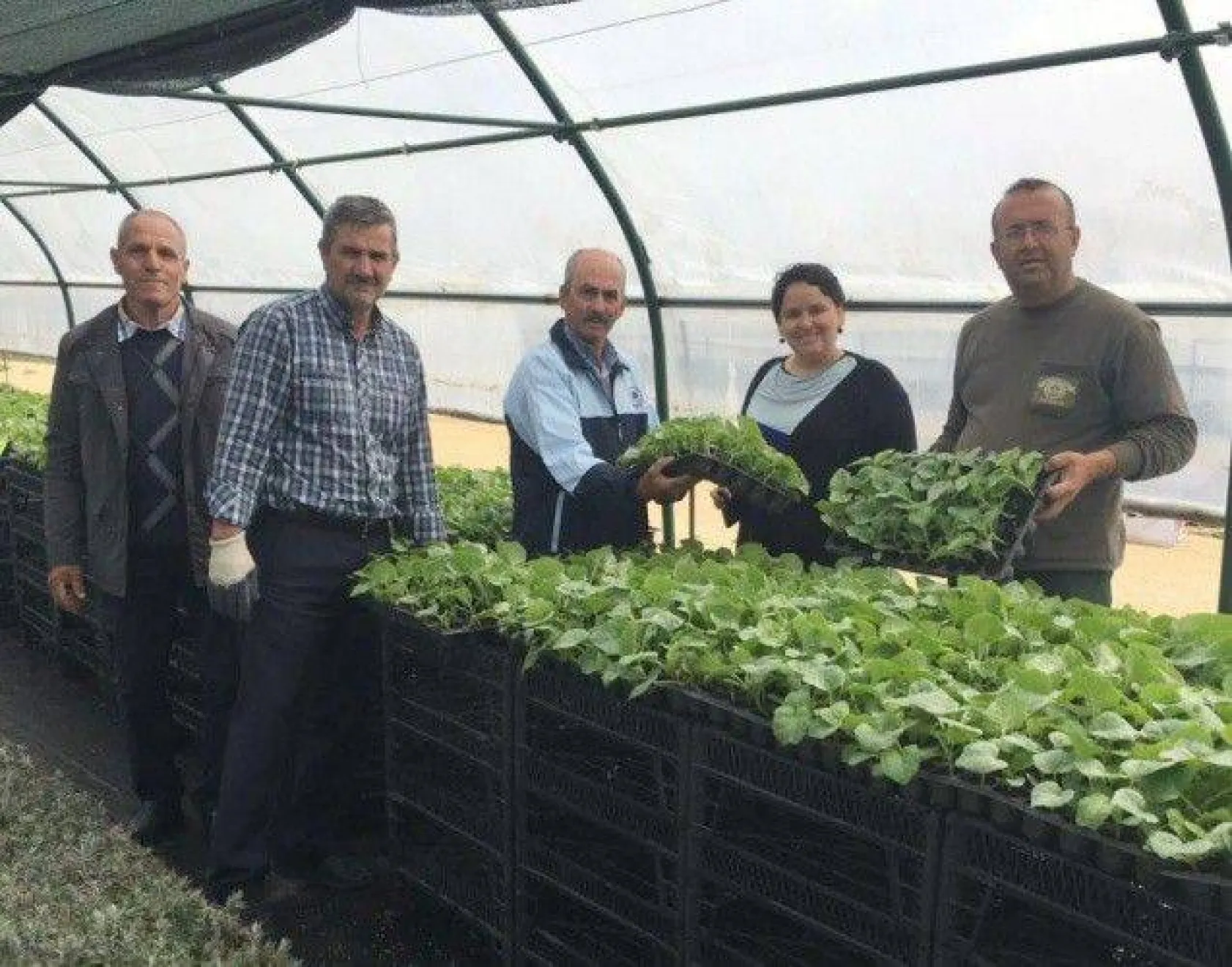 Selimpaşalı Üreticiler Kavun ve Bamyada İddialı