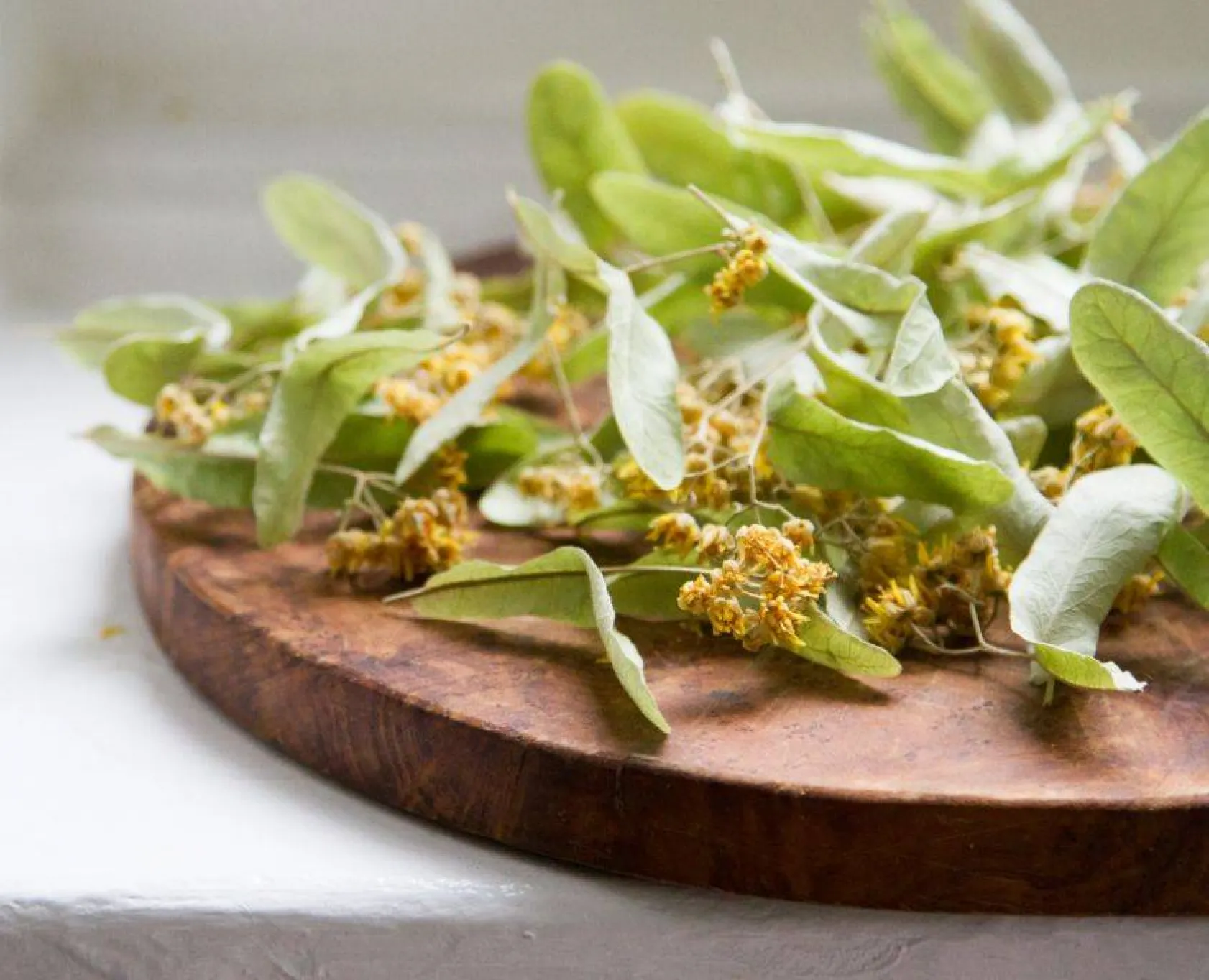 Vücuttaki iltihabı söküp atıyor!