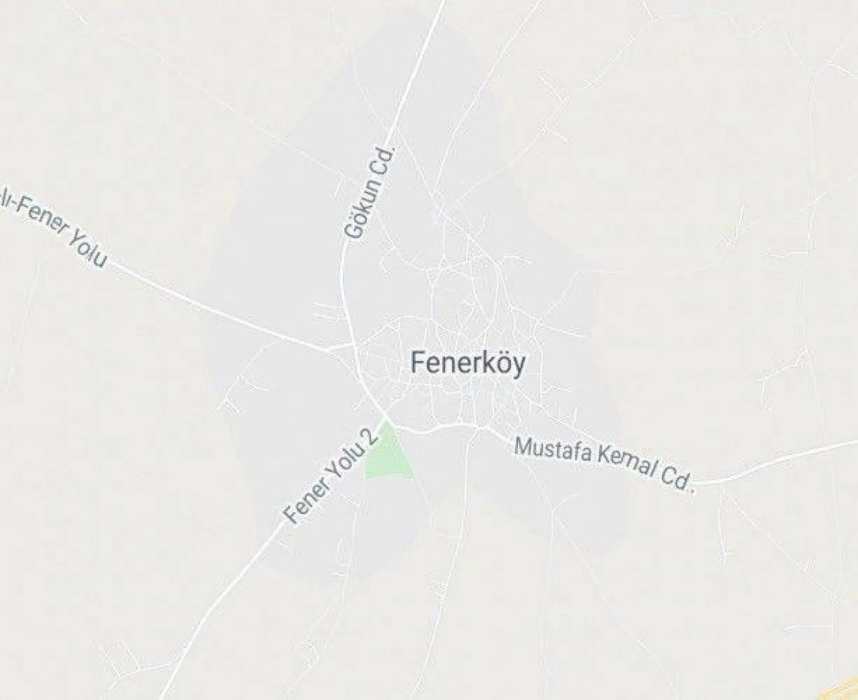 Fener'de sünnet şöleni