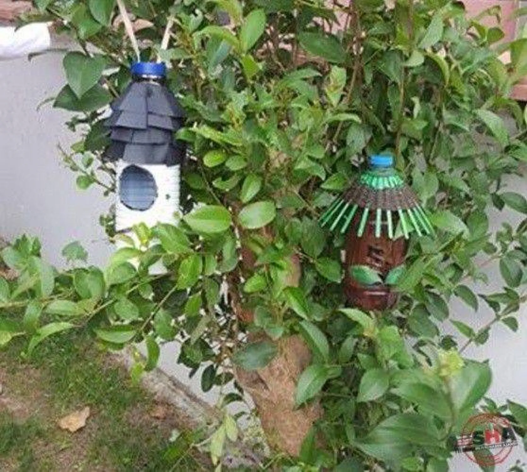 Renkli Balonlar Anaokulu'nda çocukların doğa bilinci artıyor