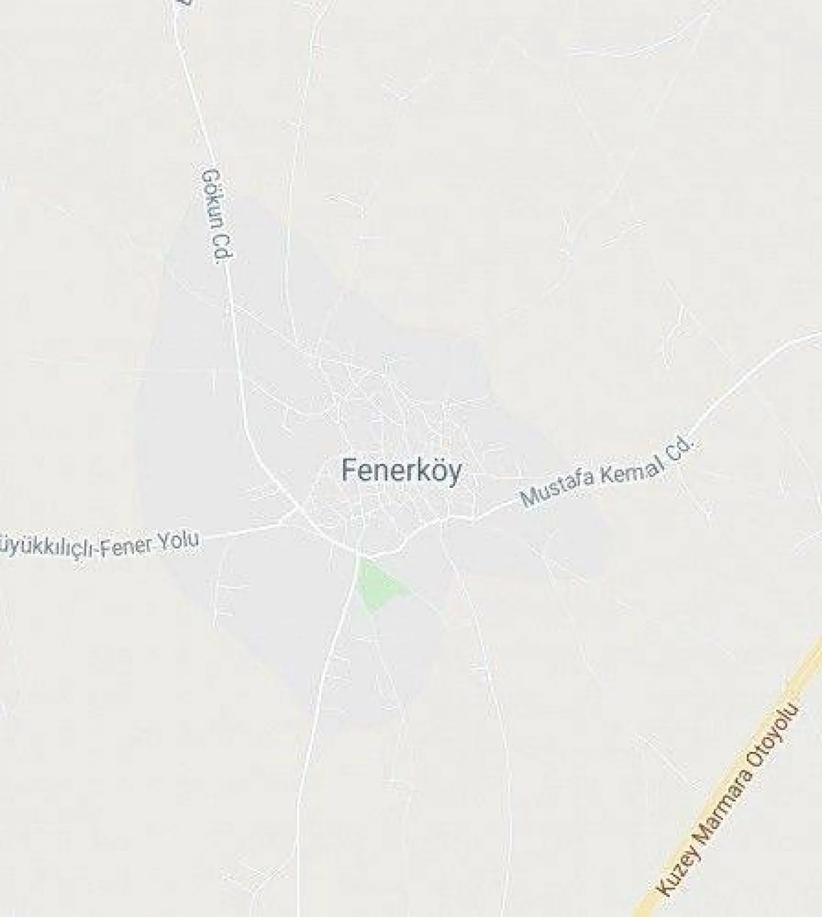 Fener'de sünnet şöleni