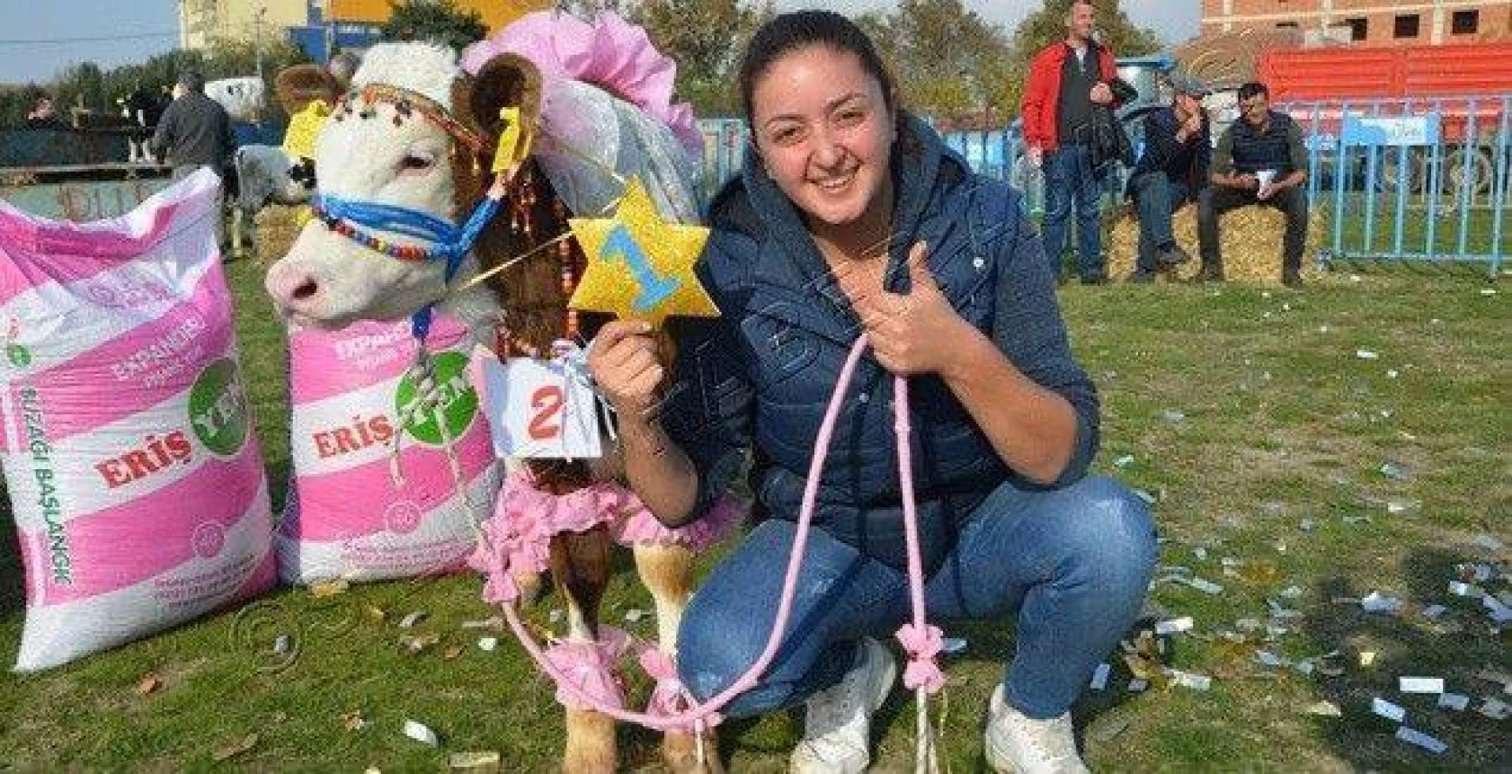 Silivri'de 'En Güzel Buzağı' Yarışması