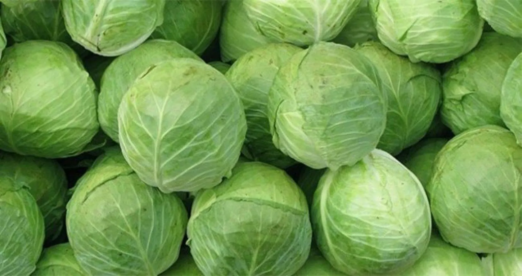 Kasım ayının 10 süper besini