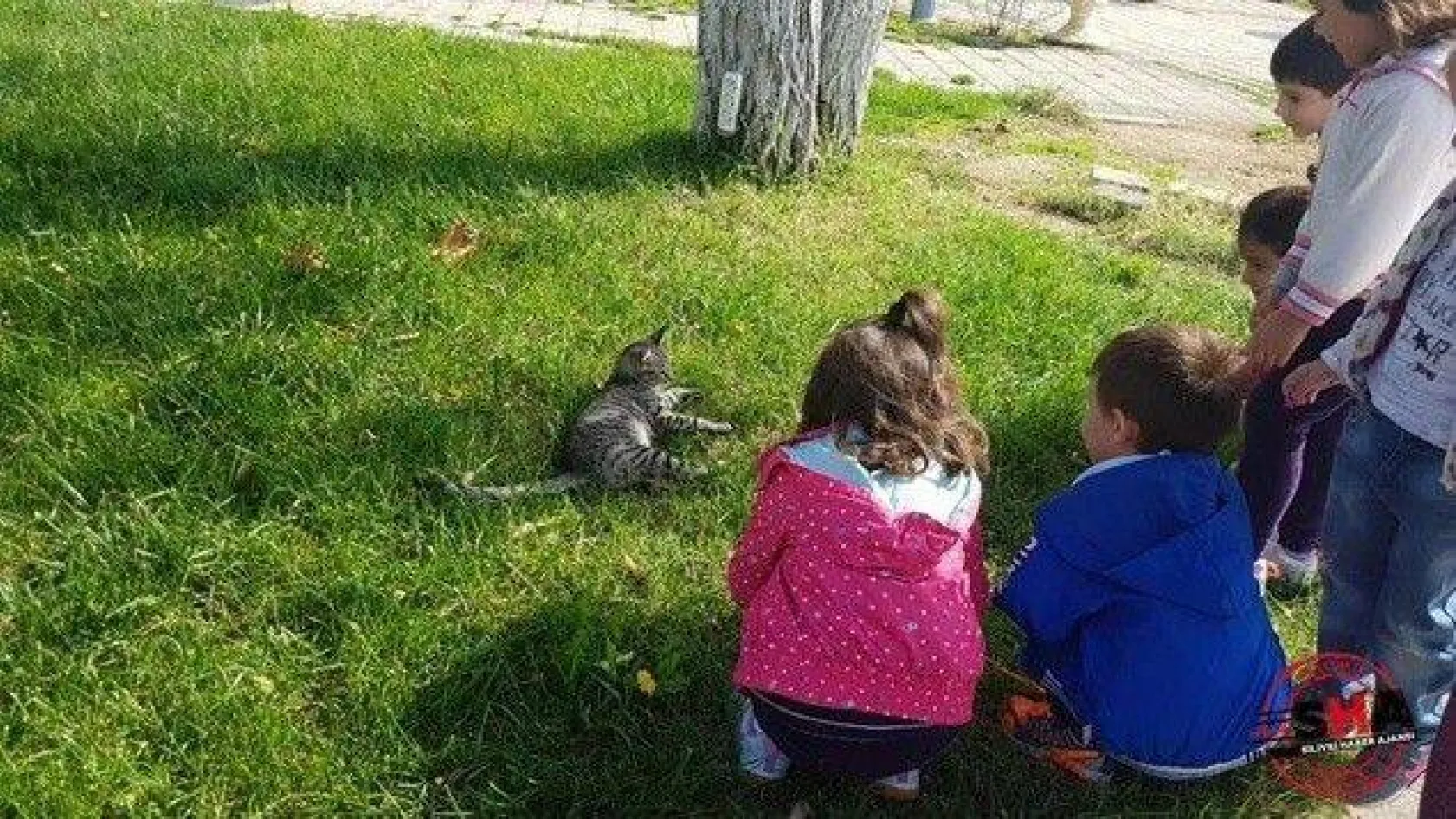 Çilli Anaokulu çocukları can dostlarını unutmadı