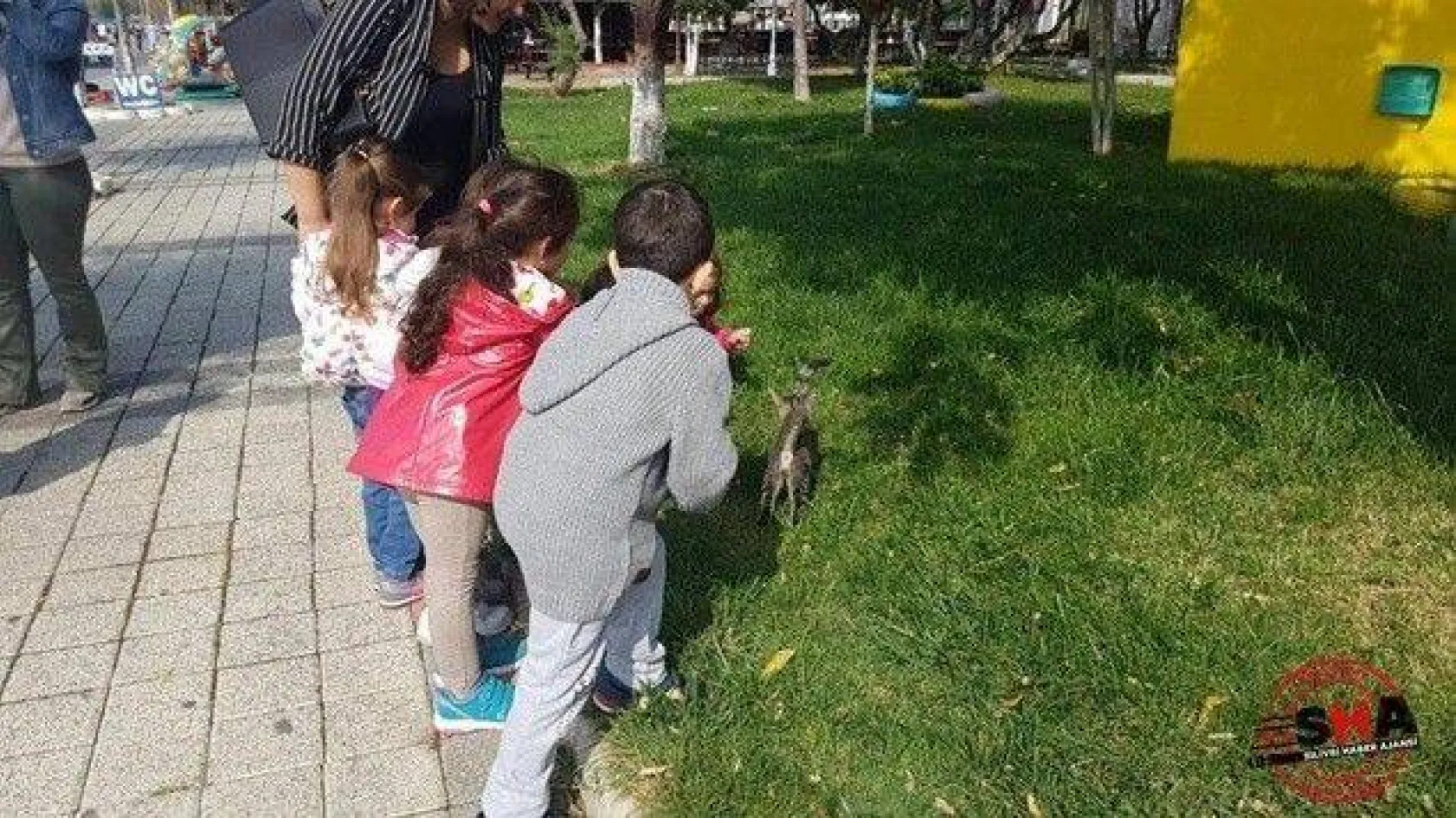 Çilli Anaokulu çocukları can dostlarını unutmadı