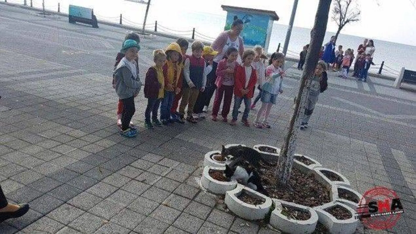 Çilli Anaokulu çocukları can dostlarını unutmadı