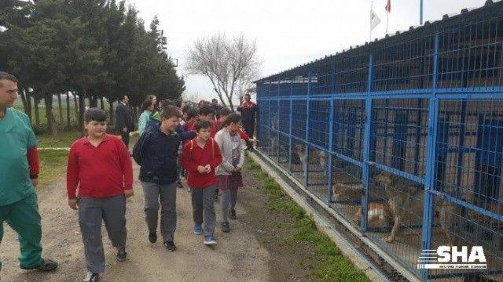 Ekmeklerini Barınaktaki Hayvanlarla Paylaştılar