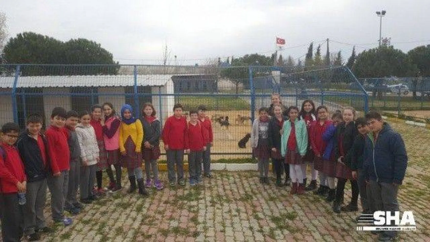 Ekmeklerini Barınaktaki Hayvanlarla Paylaştılar