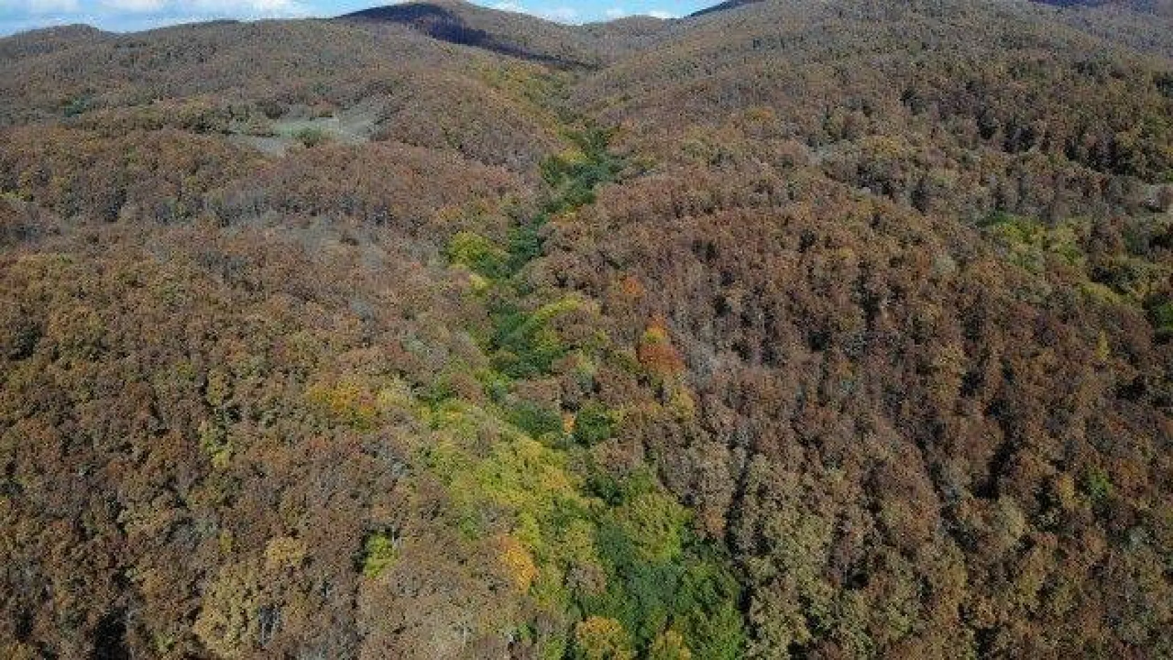 Istranca ormanlarında sonbahar güzelliği