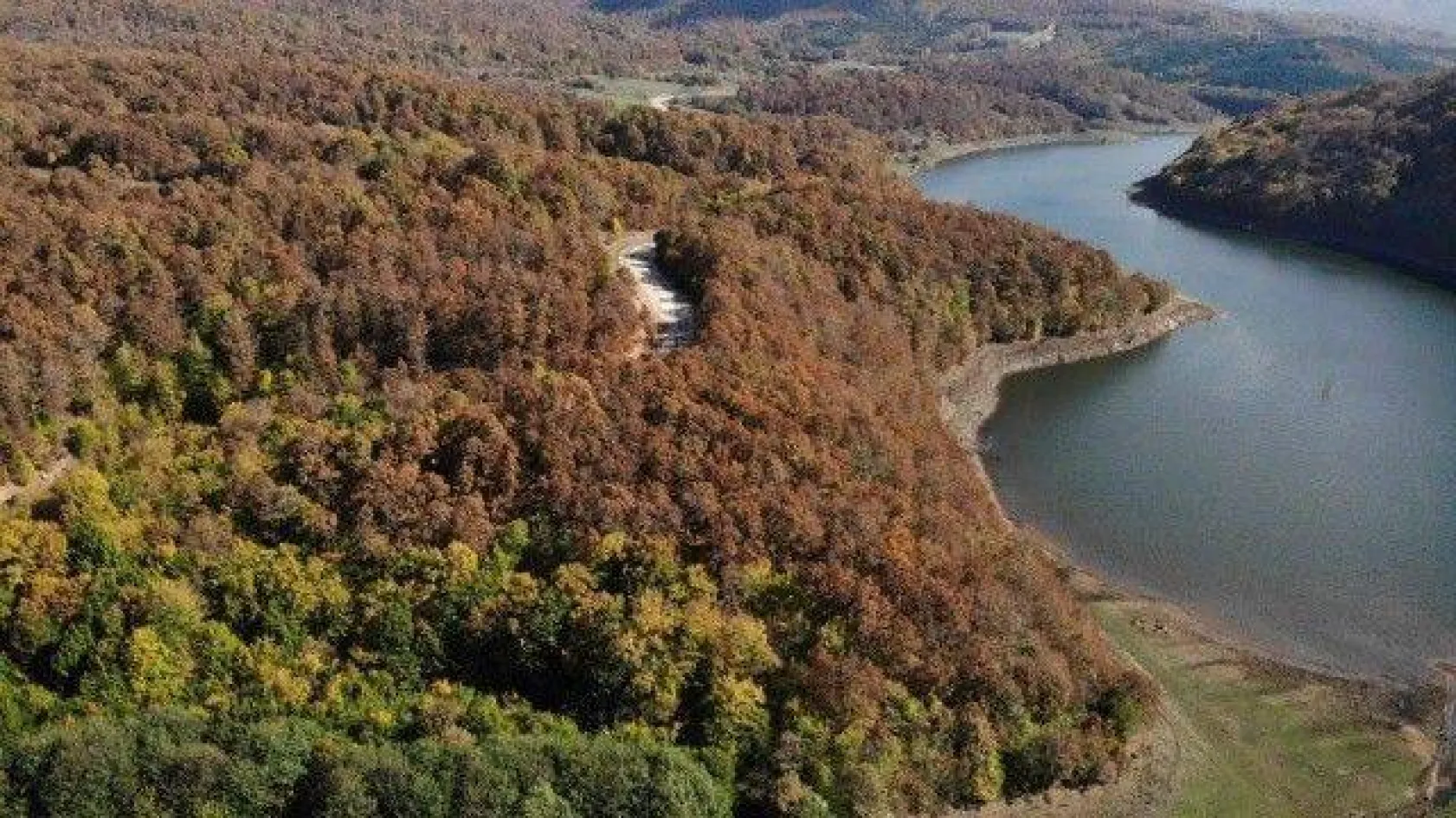 Istranca ormanlarında sonbahar güzelliği