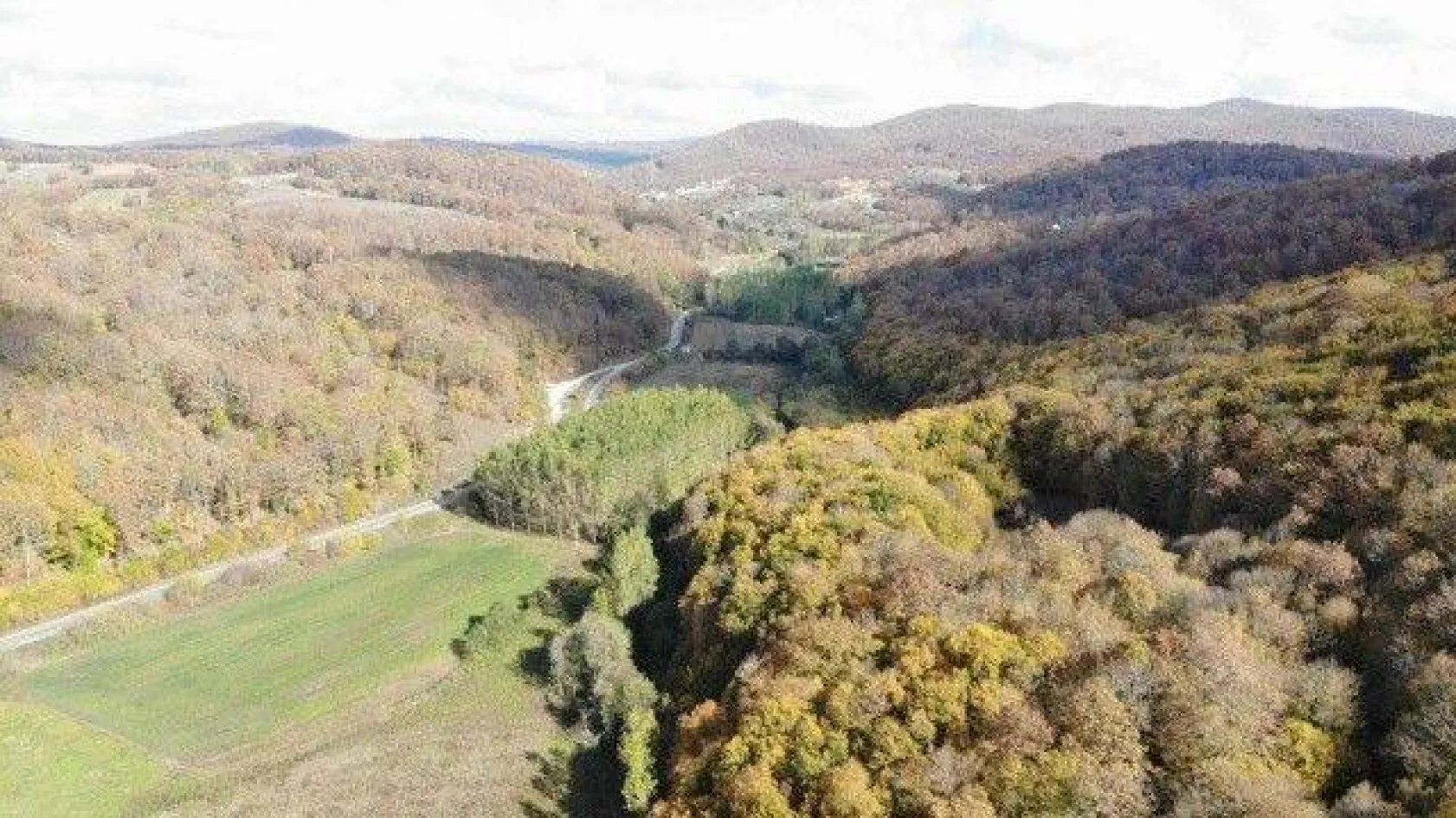 Istranca ormanlarında sonbahar güzelliği