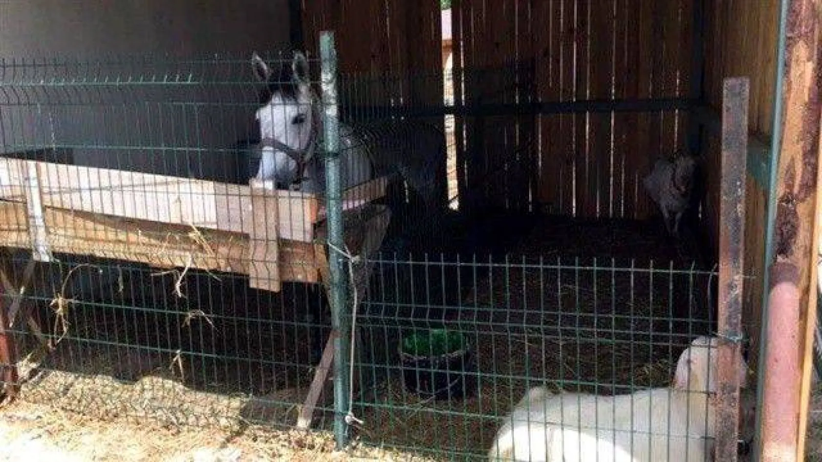 'Mavi Çatı' yenilenen yüzüyle hizmete girdi