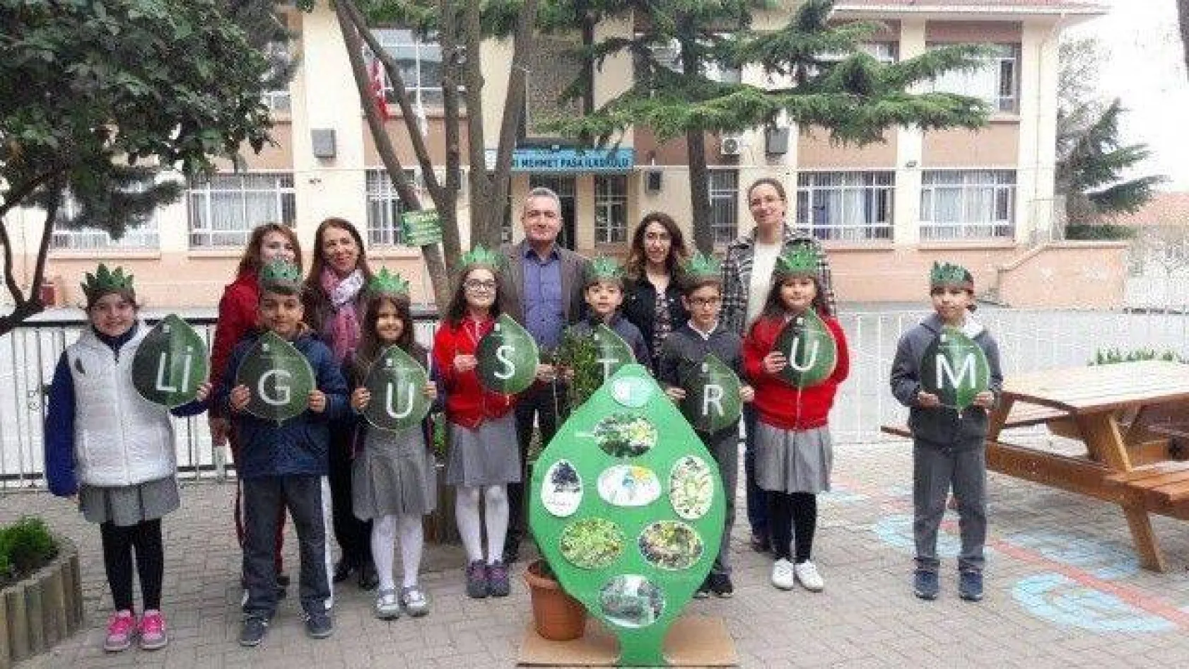 Ağaçları tanıma tanıtma etkinliği