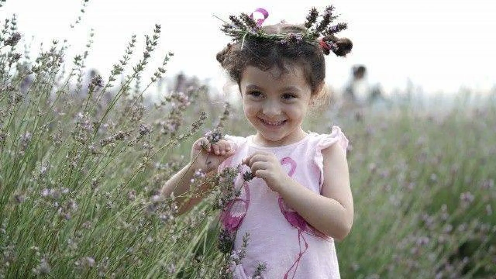 Lavanta Hasat Şenliği yapıldı