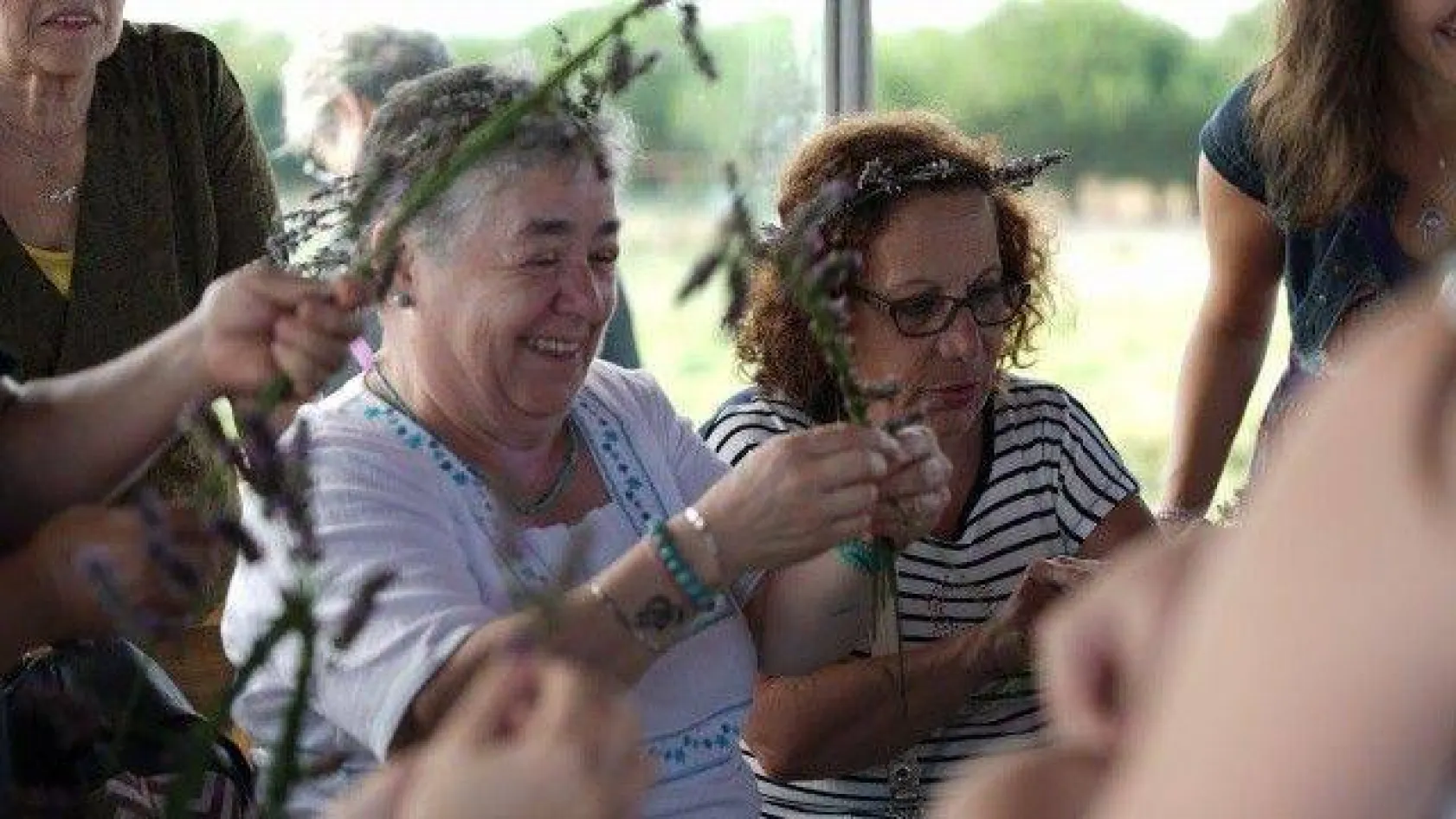 Lavanta Hasat Şenliği yapıldı