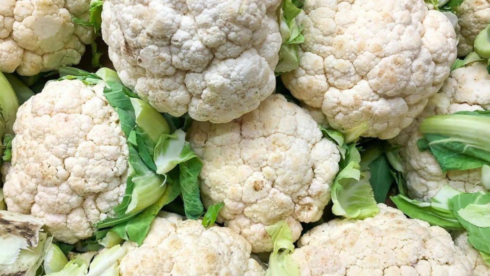 Kasım ayının 10 süper besini