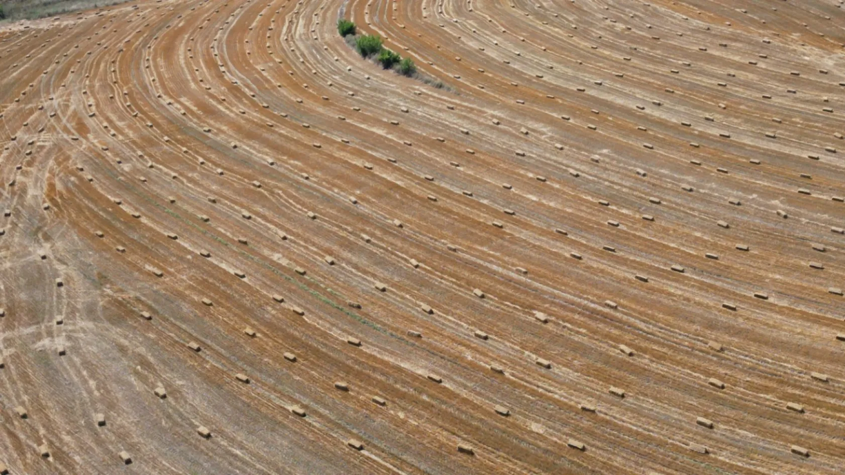 Silivri Belediyesinden üreticilere 2,5 milyon TL'lik saman desteği