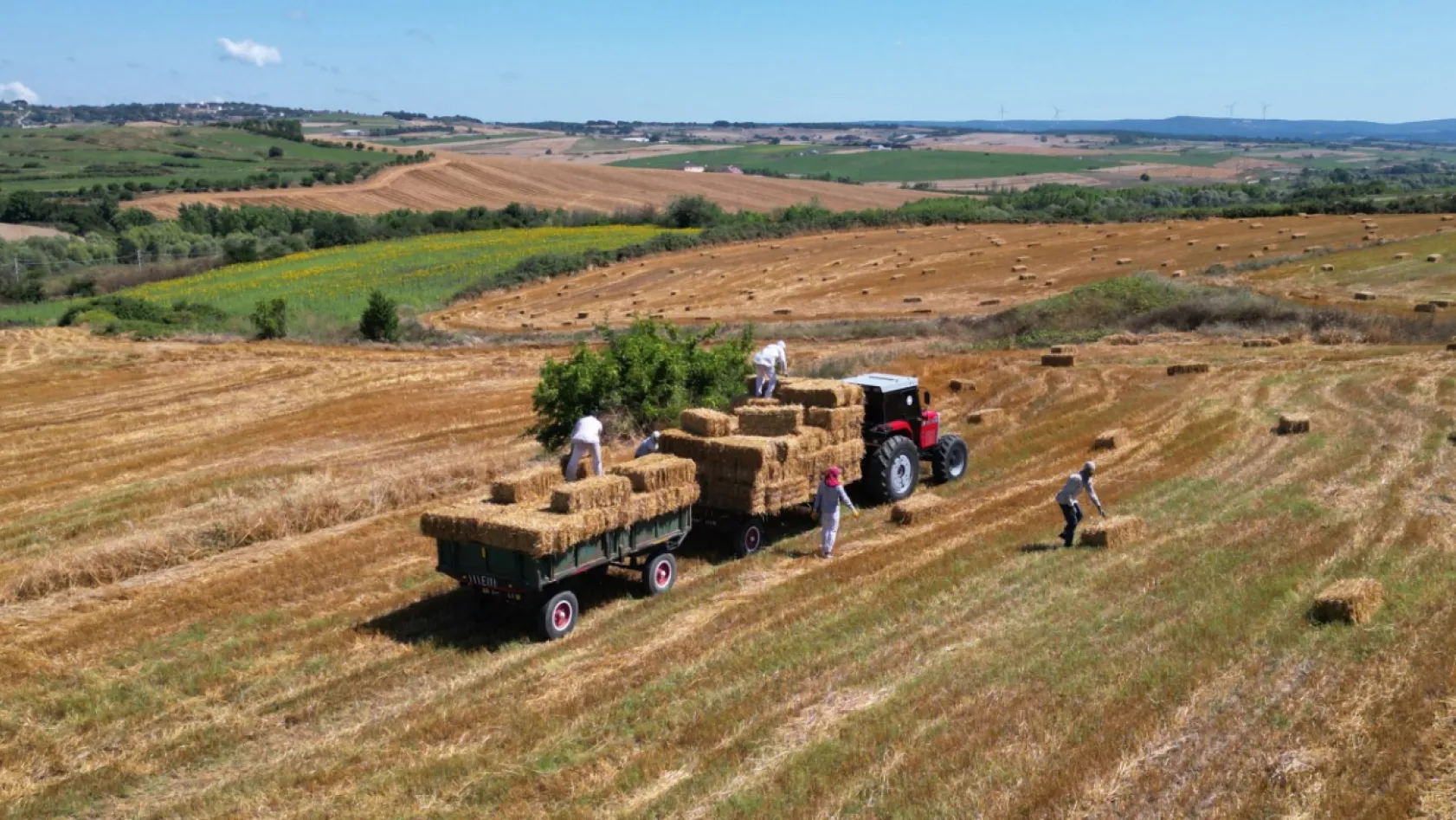 Silivri Belediyesinden üreticilere 2,5 milyon TL'lik saman desteği
