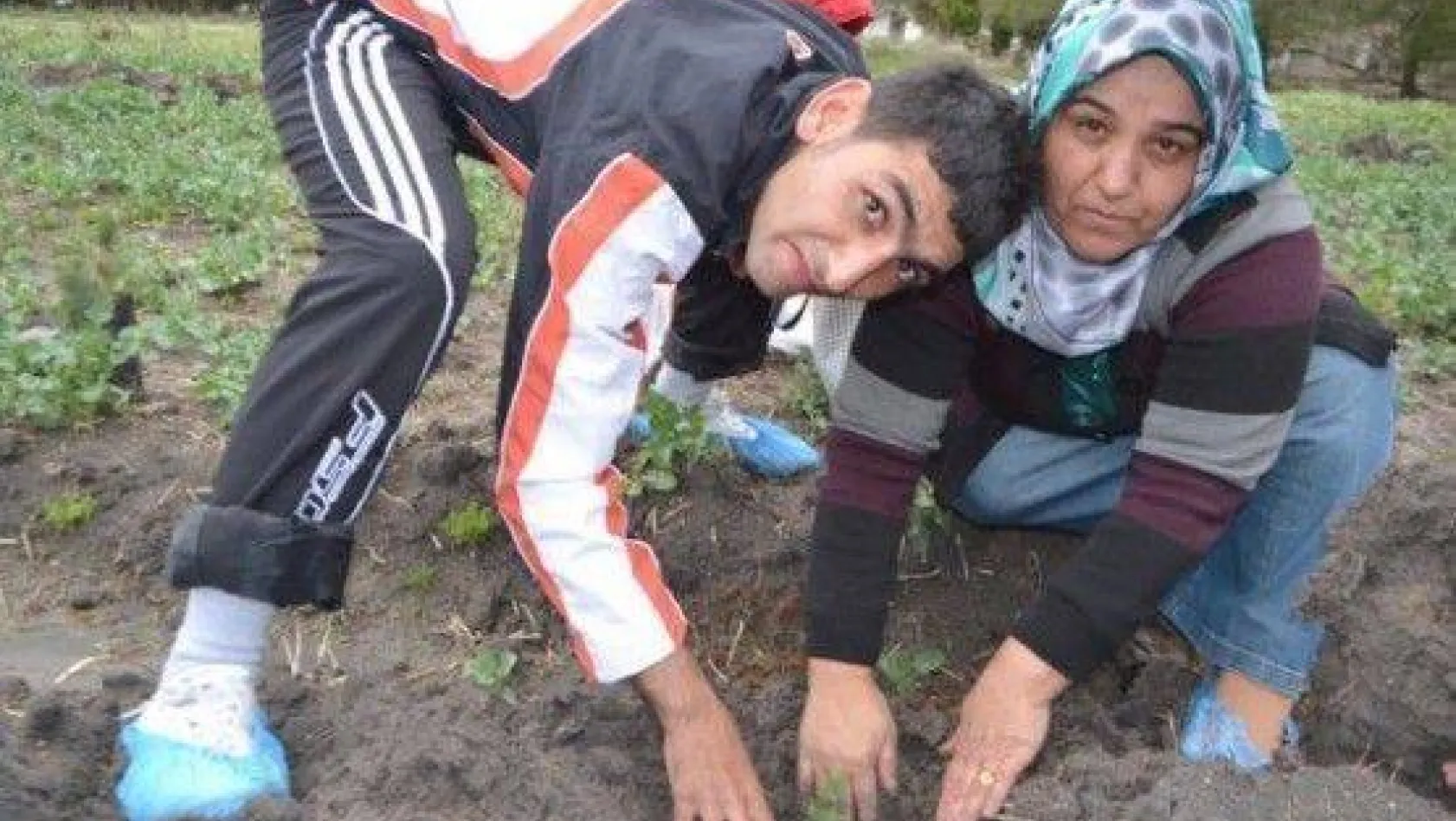 Sevgi Dolu Yüreklerden Sevgi Korusu