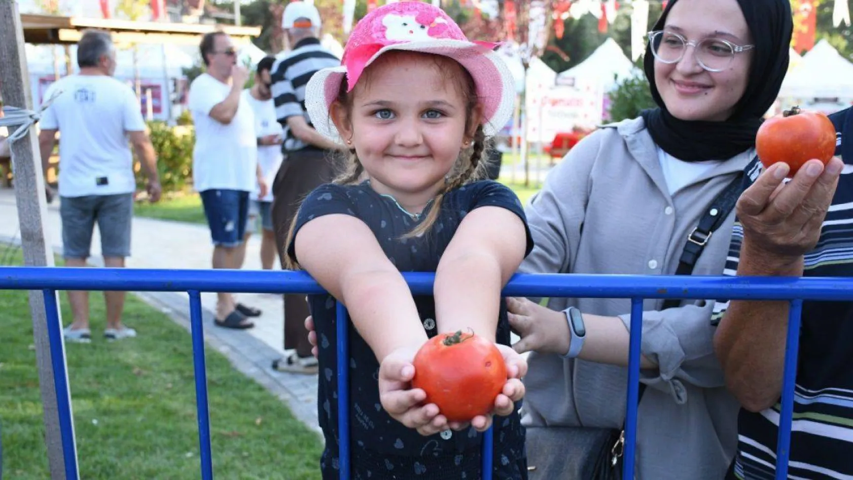 En güzel domatesler yarıştı