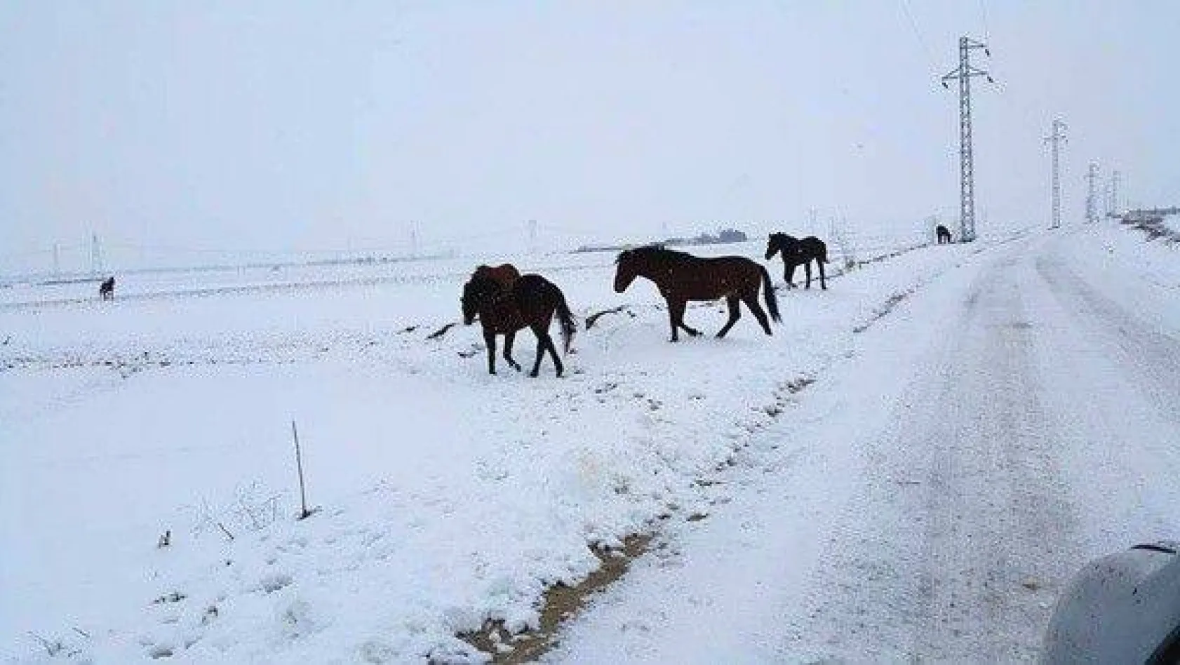 Kış mevsiminde Silivri