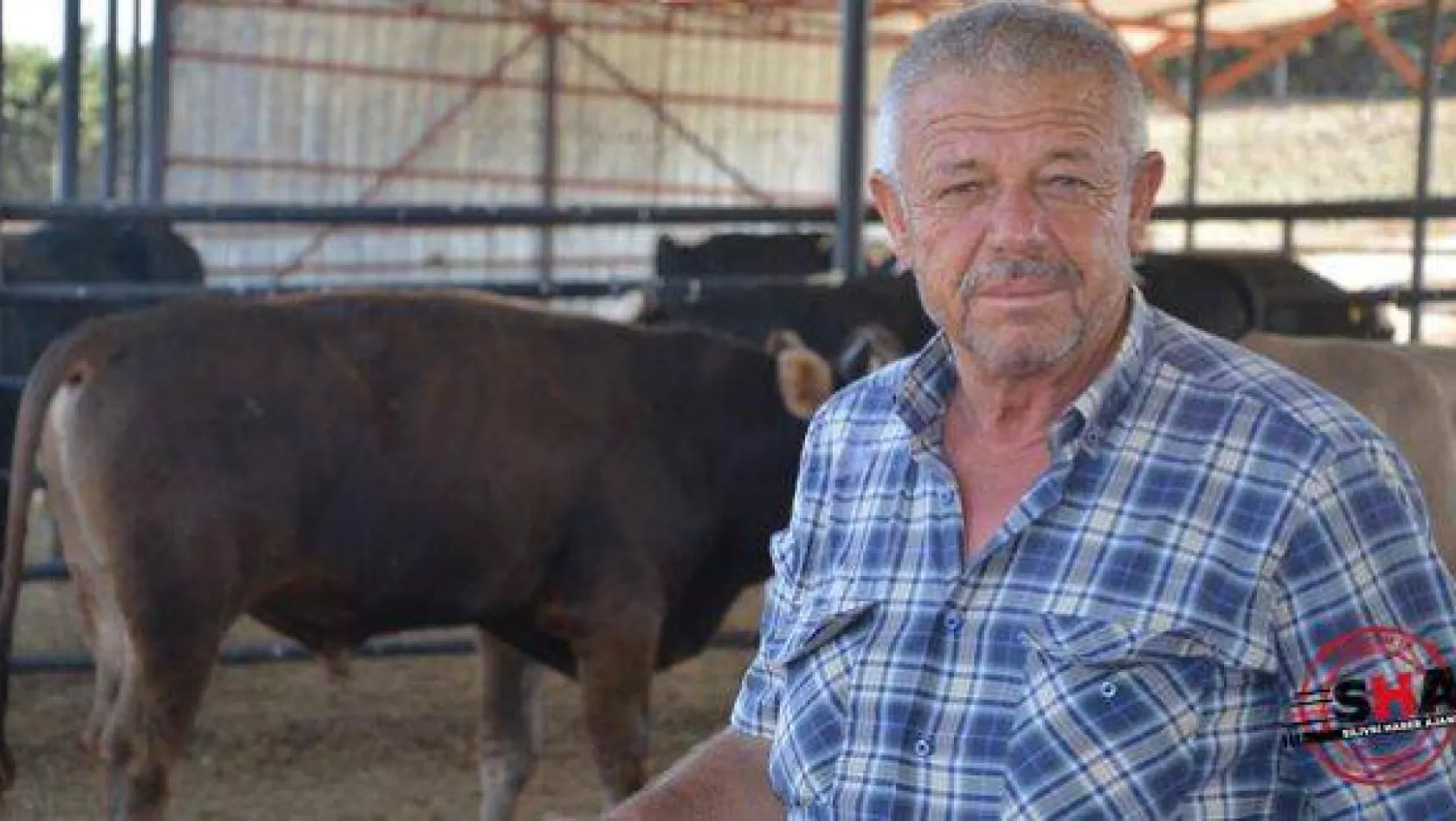 Kurbanlıkta 40 yıllık tecrübe 'Aktaş Çiftliği'