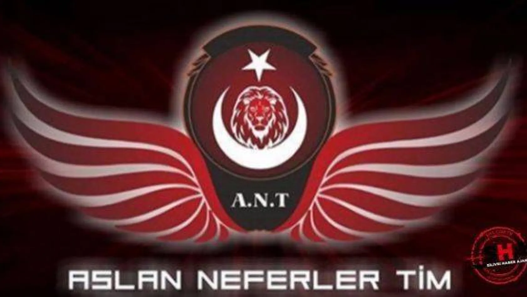 'Aslan Neferler Tim' adlı hacker grubu Türkiye'nin intikamını aldı