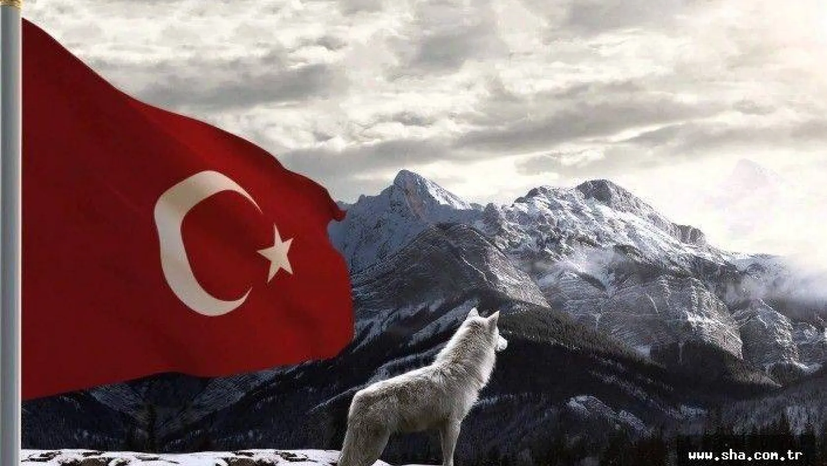 Türklerin temizliği