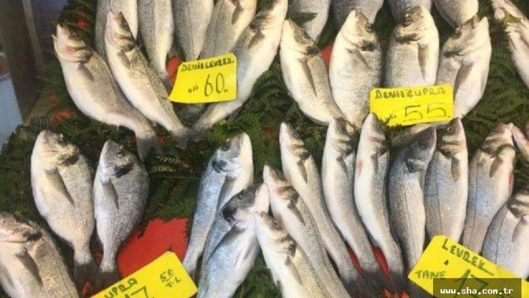 Kar Yağışı Balık Fiyatlarını Vurdu