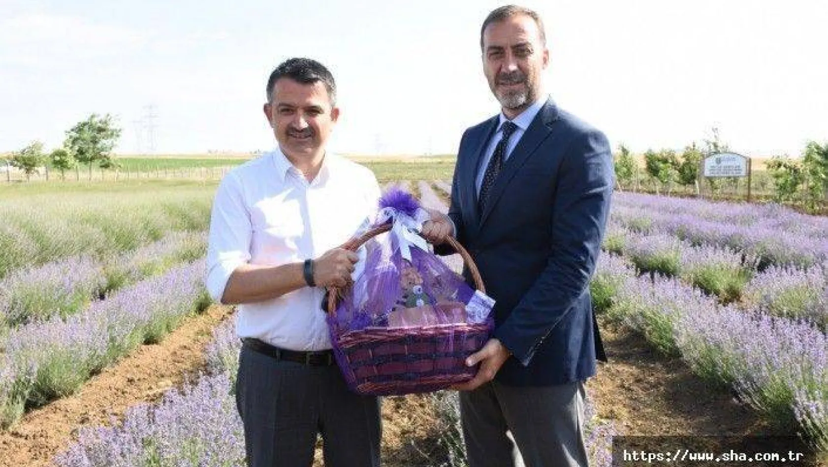 Tarım Bakanı TÜRAM'ı Ziyaret Etti, Mahalleleri Gezdi