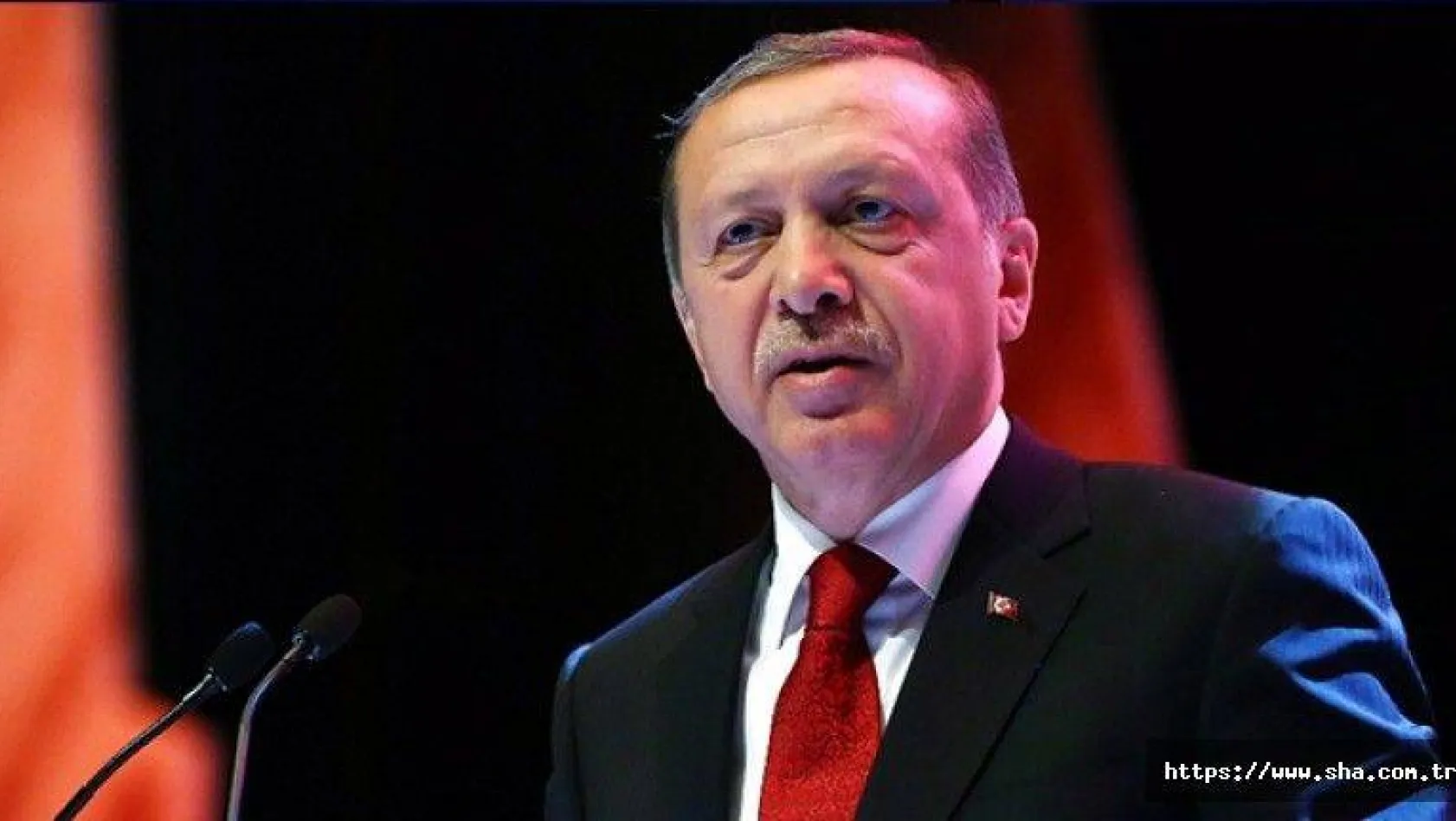Cumhurbaşkanı Erdoğan: 'Önümüzdeki haftalarda Kanal İstanbul'un ihalesi yapılacak'