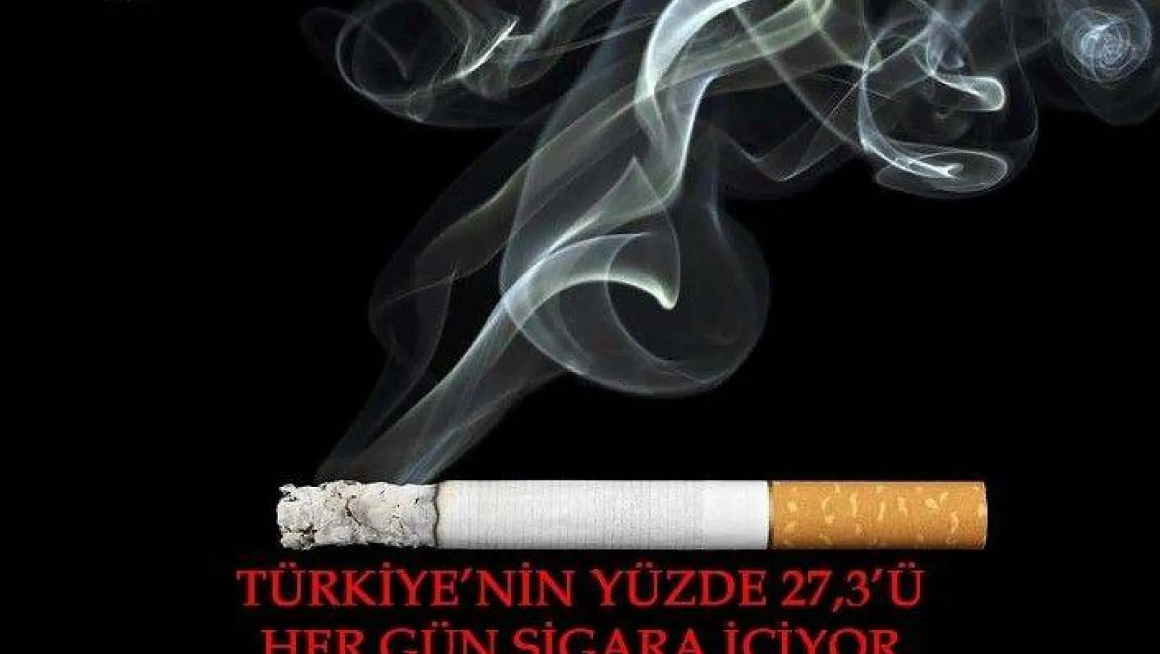 Türkiye'nin Yüzde 27,3'ü Her Gün Sigara İçiyor