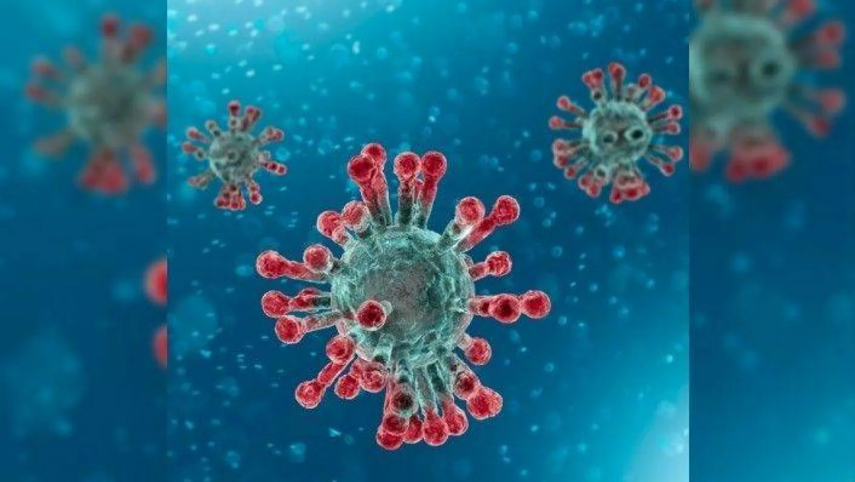 Koronavirüsün medya karnesi