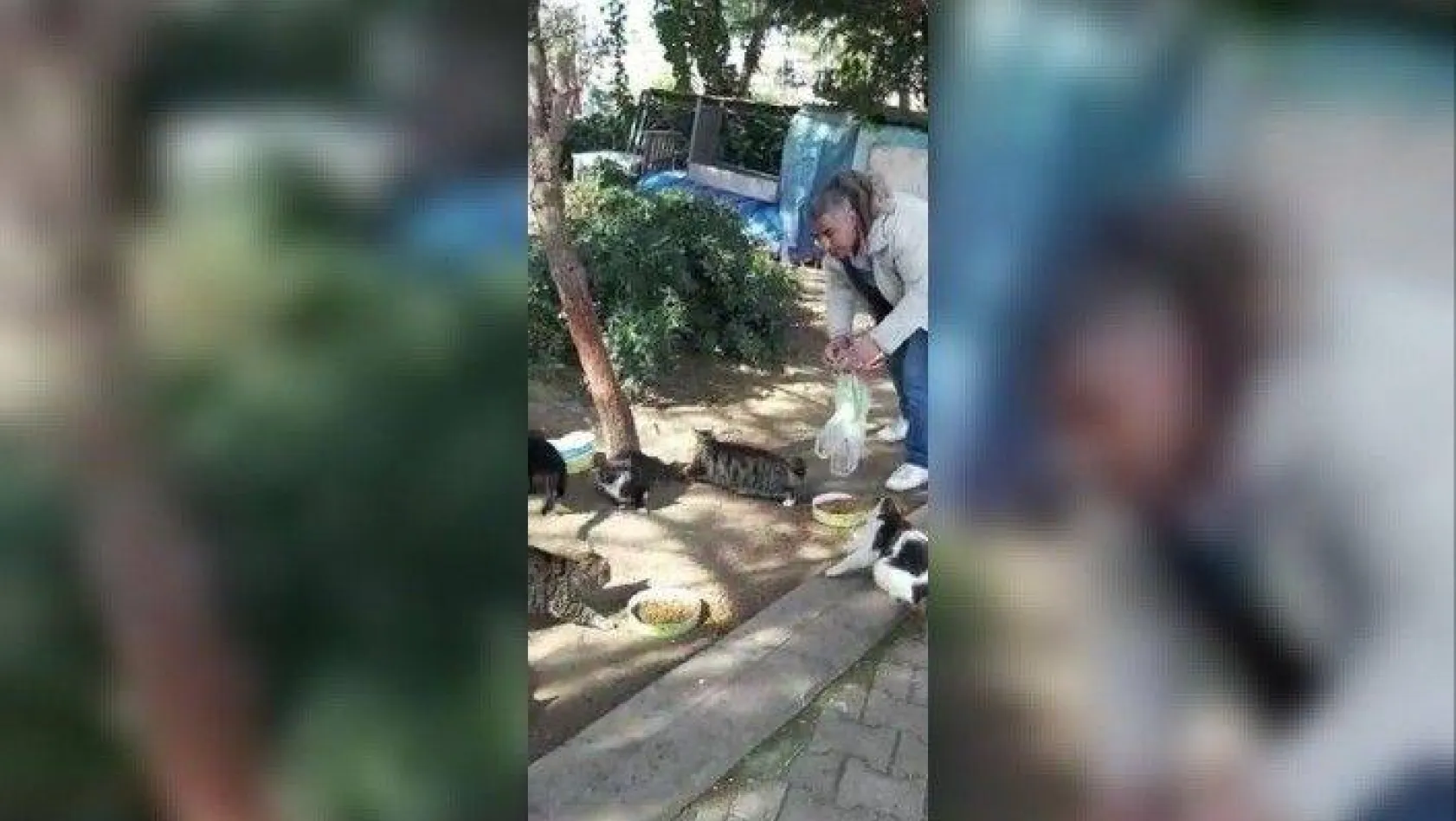 (Özel) Hayvansever, sokak hayvanlarını beslemek için evinden çıktı
