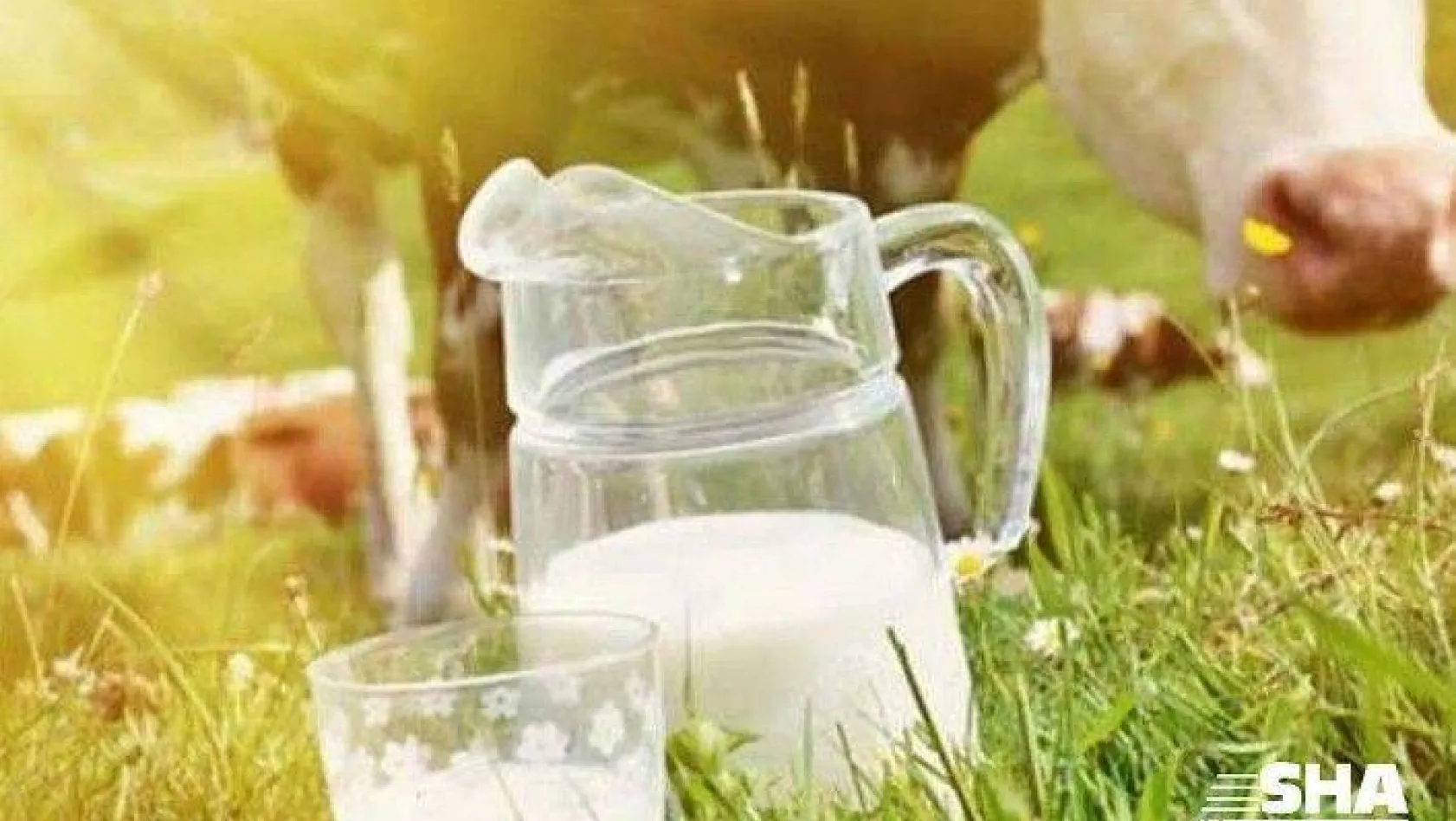 İhaleyi iptal eden İBB, sütü Çatalca ile Silivri'den alacak