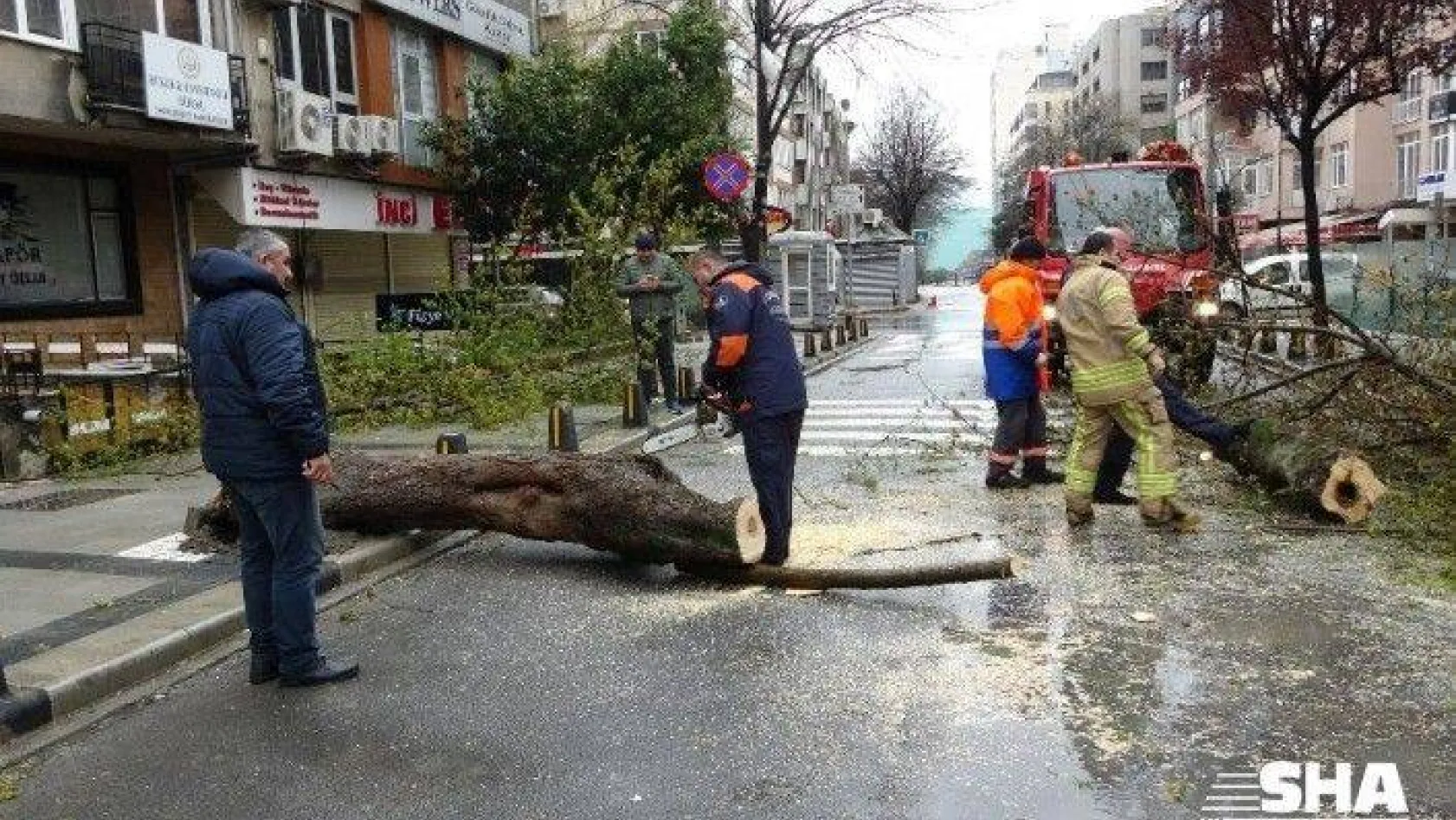 Mecidiyeköy'de fırtınanın etkisiyle devrilen ağaç yolu trafiğe kapattı