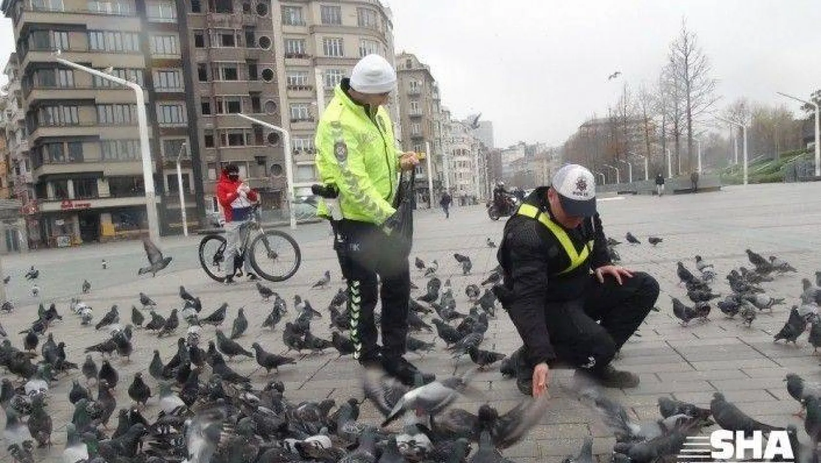 (Özel)Taksim'de aç kalan güvercinleri trafik polisleri besledi