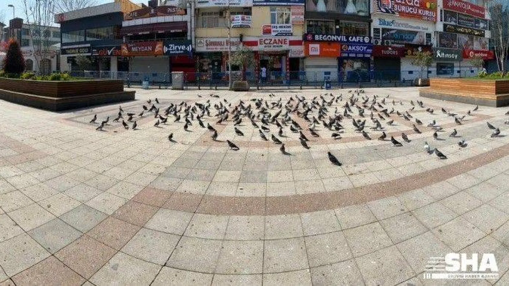 Sokağa çıkma yasağından sonra Sultanbeyli Meydanı güvercinlere kaldı