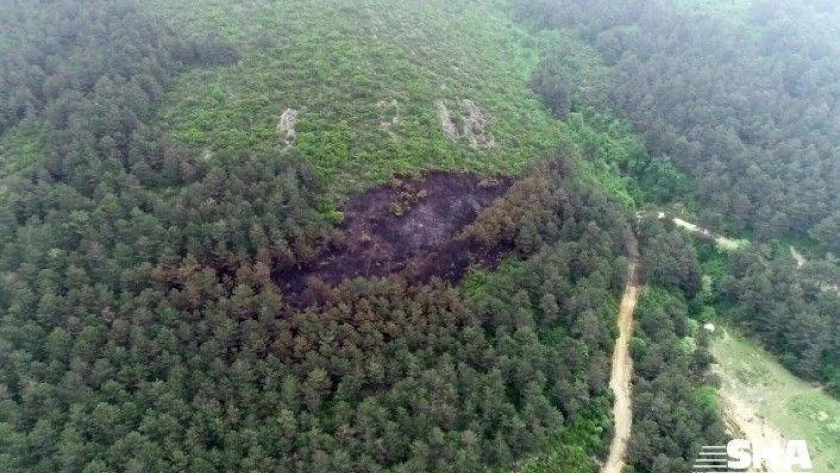 Aydos'ta yanan ormanlık alan havadan görüntülendi