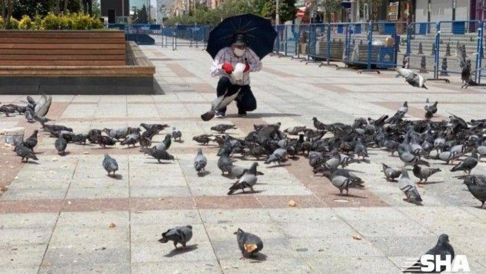 Kısıtlama günlerinde güvercinleri 65 yaş üstü vatandaşlar besledi