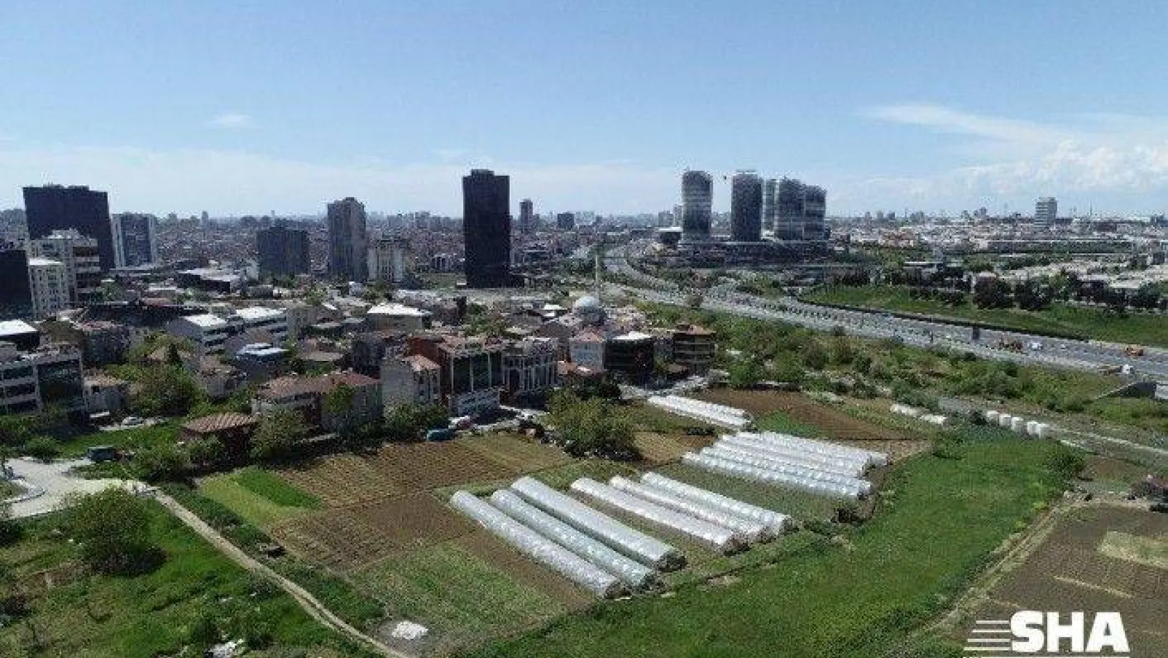 (Özel) İstanbul'un merkezindeki seralarda tarım başladı