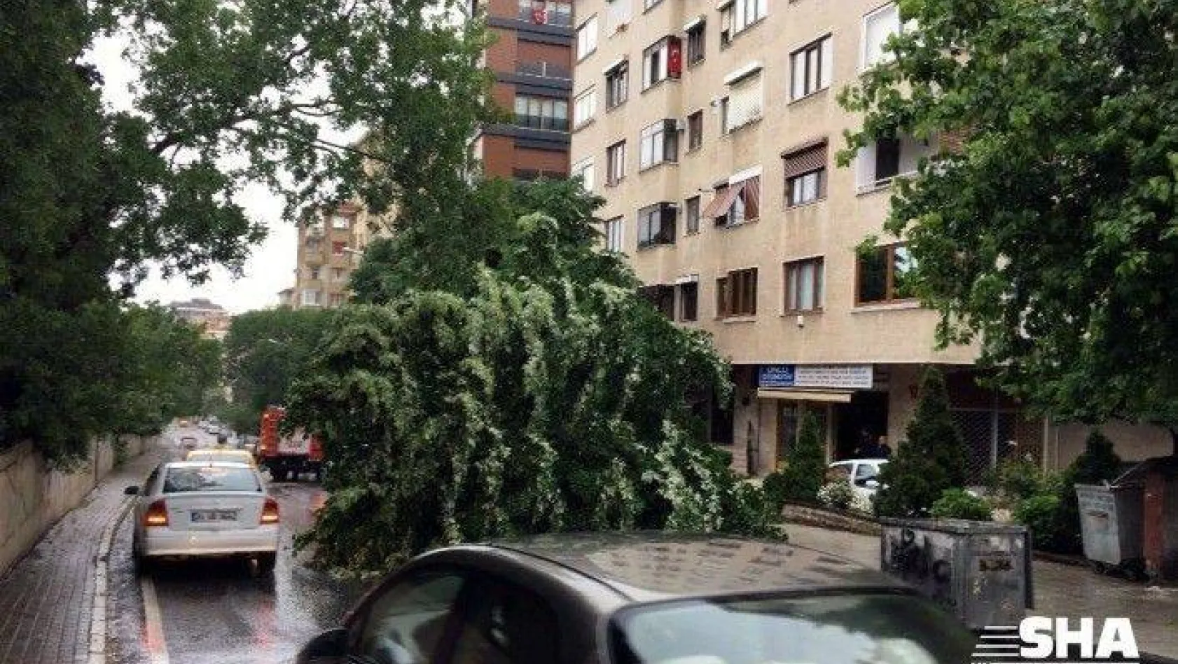 (Özel) Kadıköy'de fırtına nedeniyle ağacın devrilme anı kamerada