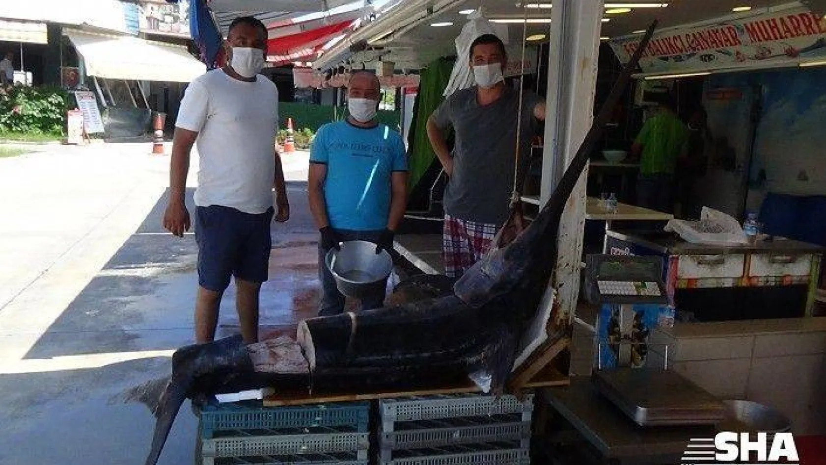 2.5 metrelik dev kılıç balığı Saroz'da yakalandı
