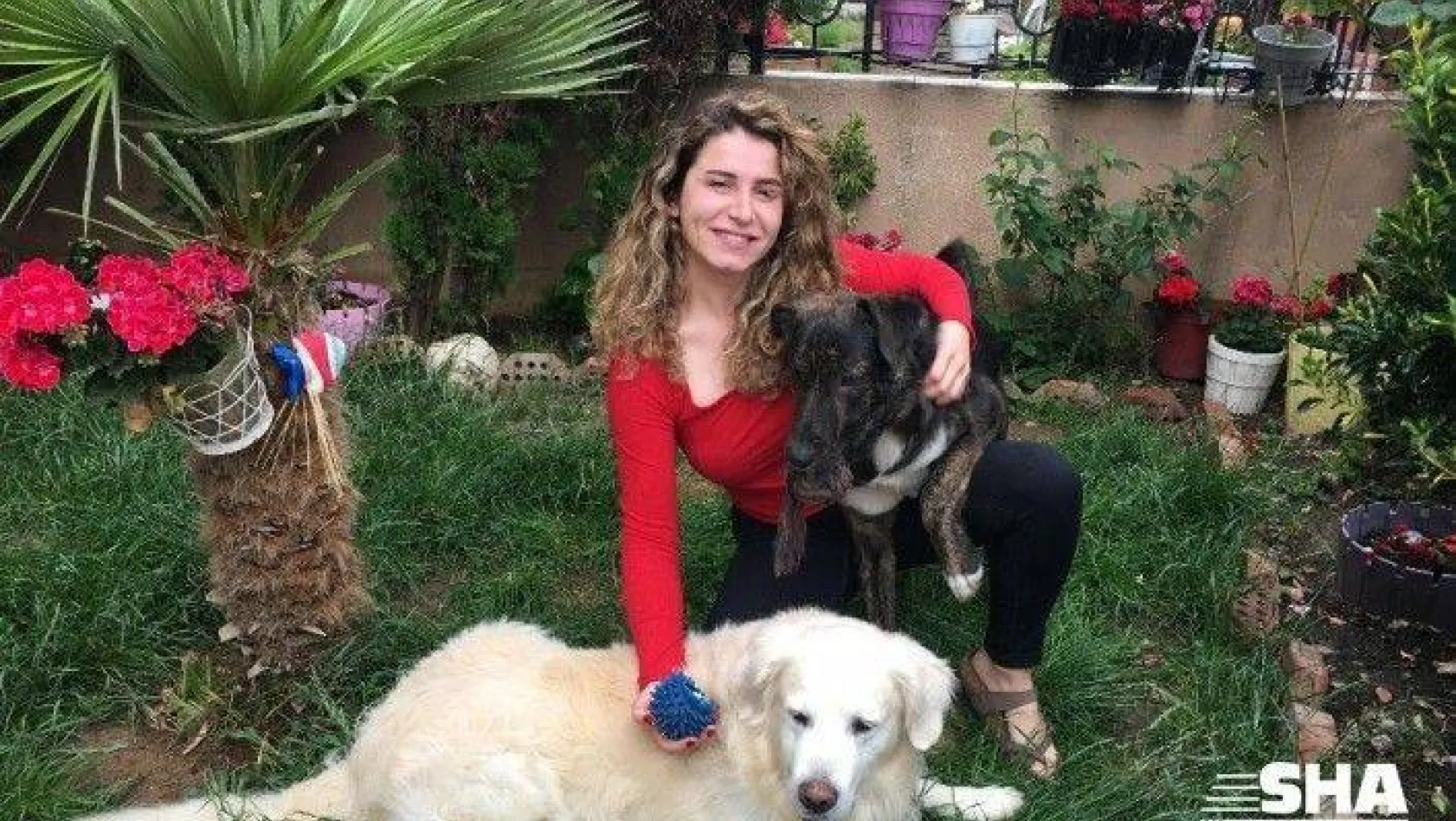 Çengelköy'de dehşet: Oyuncu Gamze Topuz'un köpeklerine çivili kemik attılar