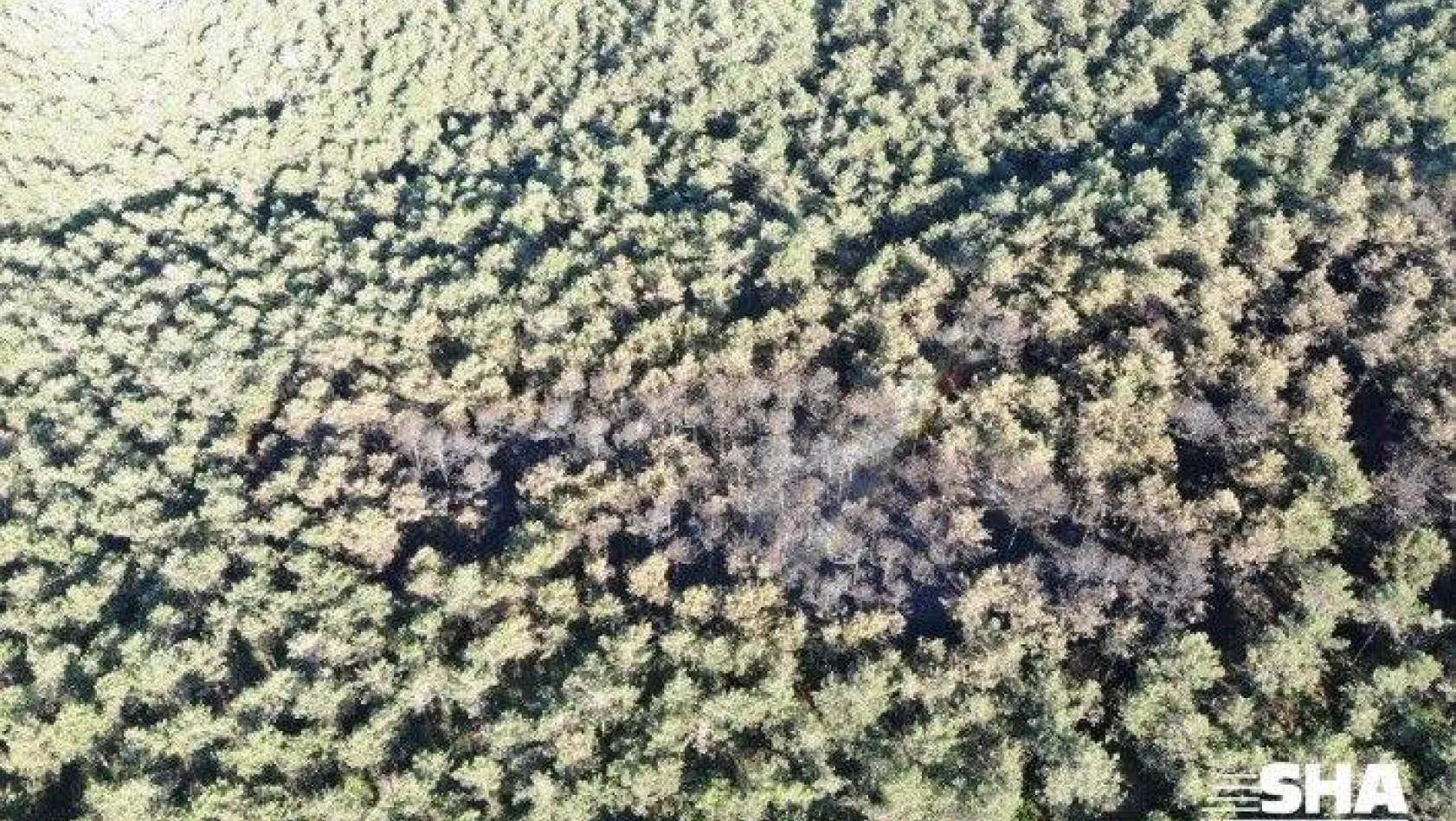 Kayışdağı Ormanı'nda yangının verdiği hasar havadan görüntülendi